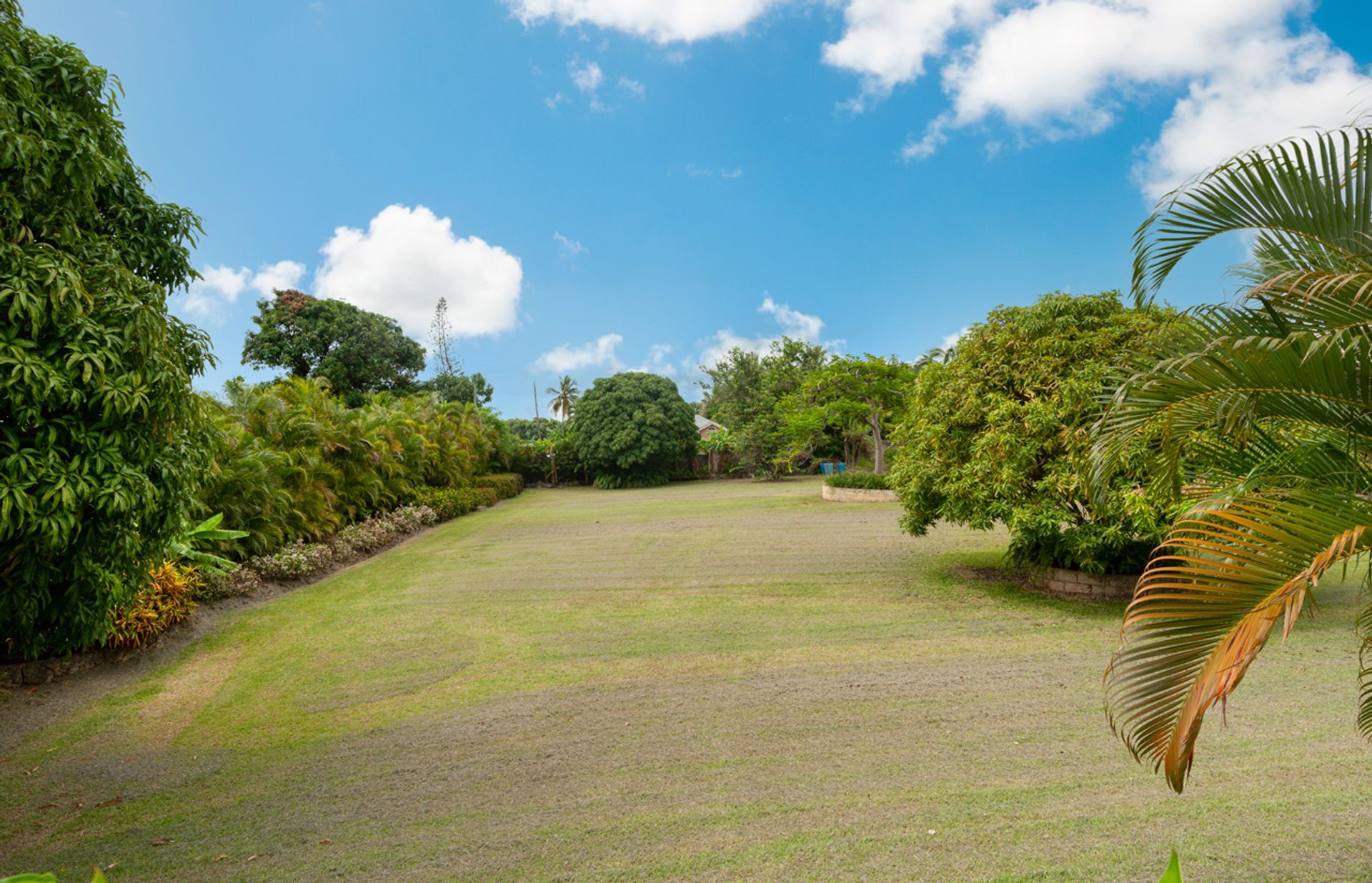 casa en Westmoreland, Saint James 11129181