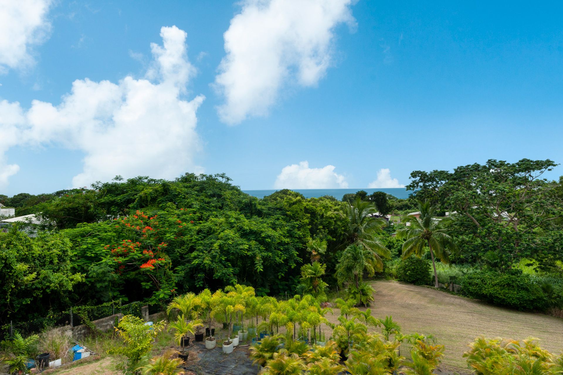 House in Westmoreland, Saint James 11129181