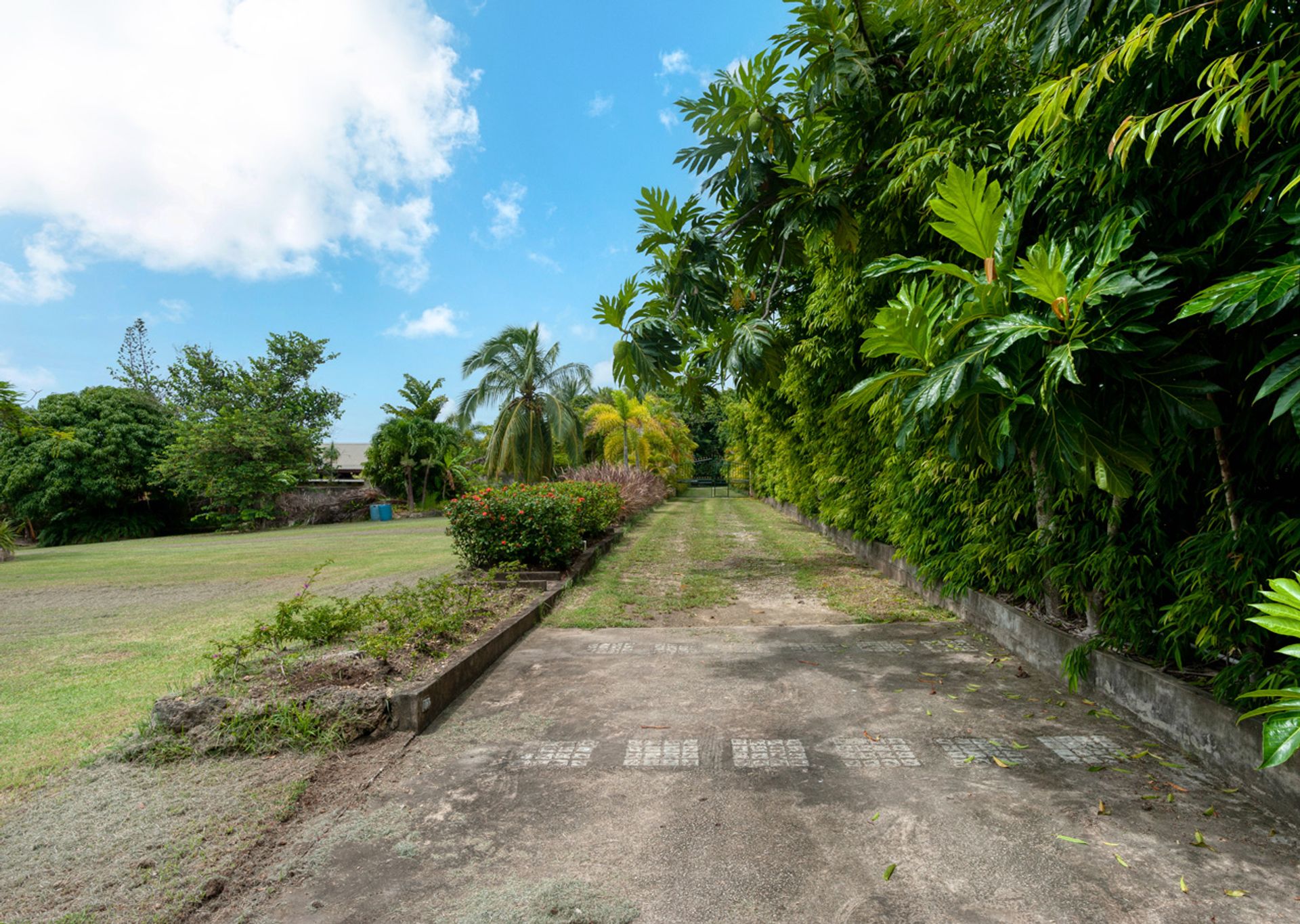 House in Westmoreland, Saint James 11129181