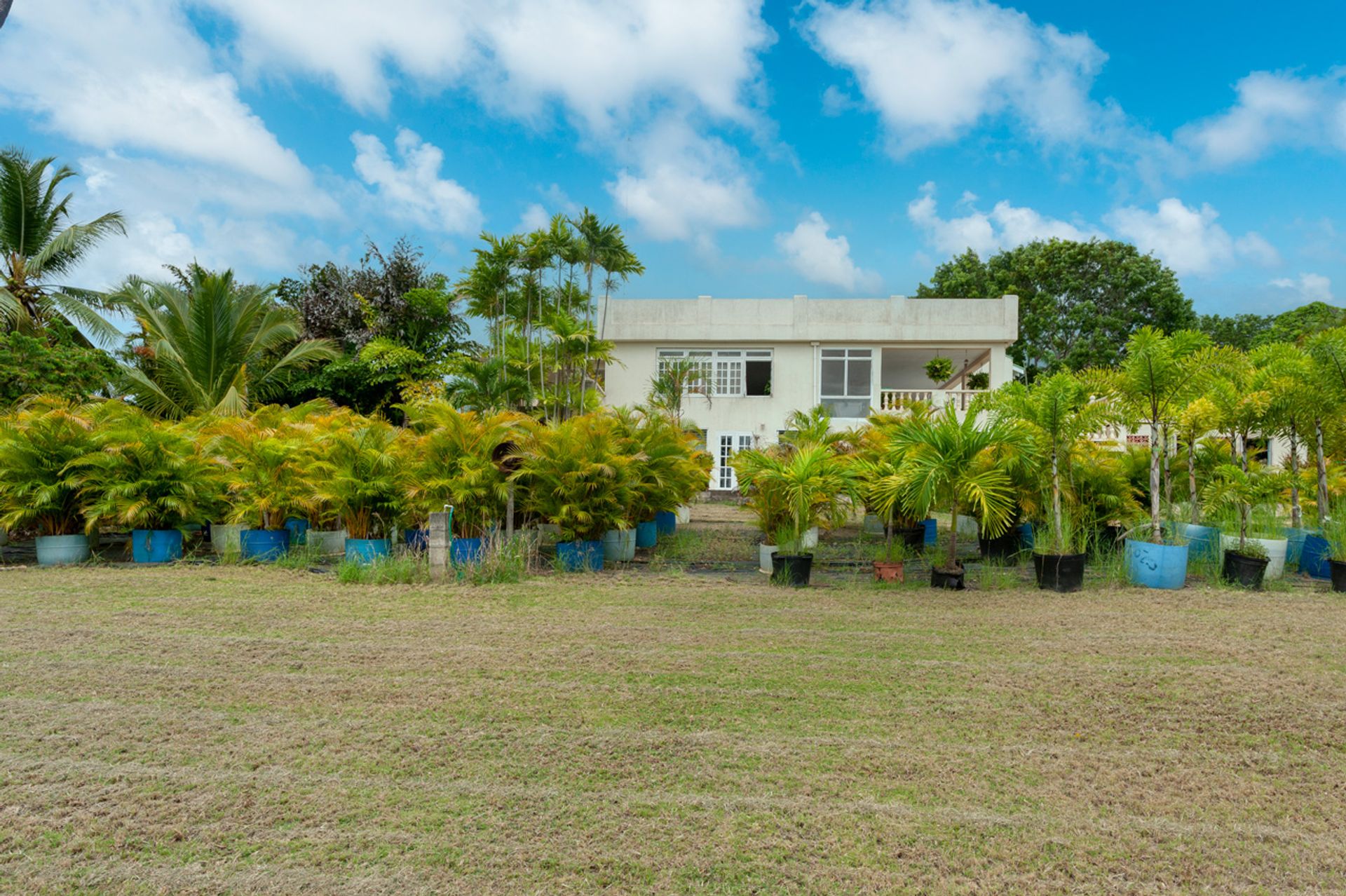 casa en Westmoreland, Saint James 11129181