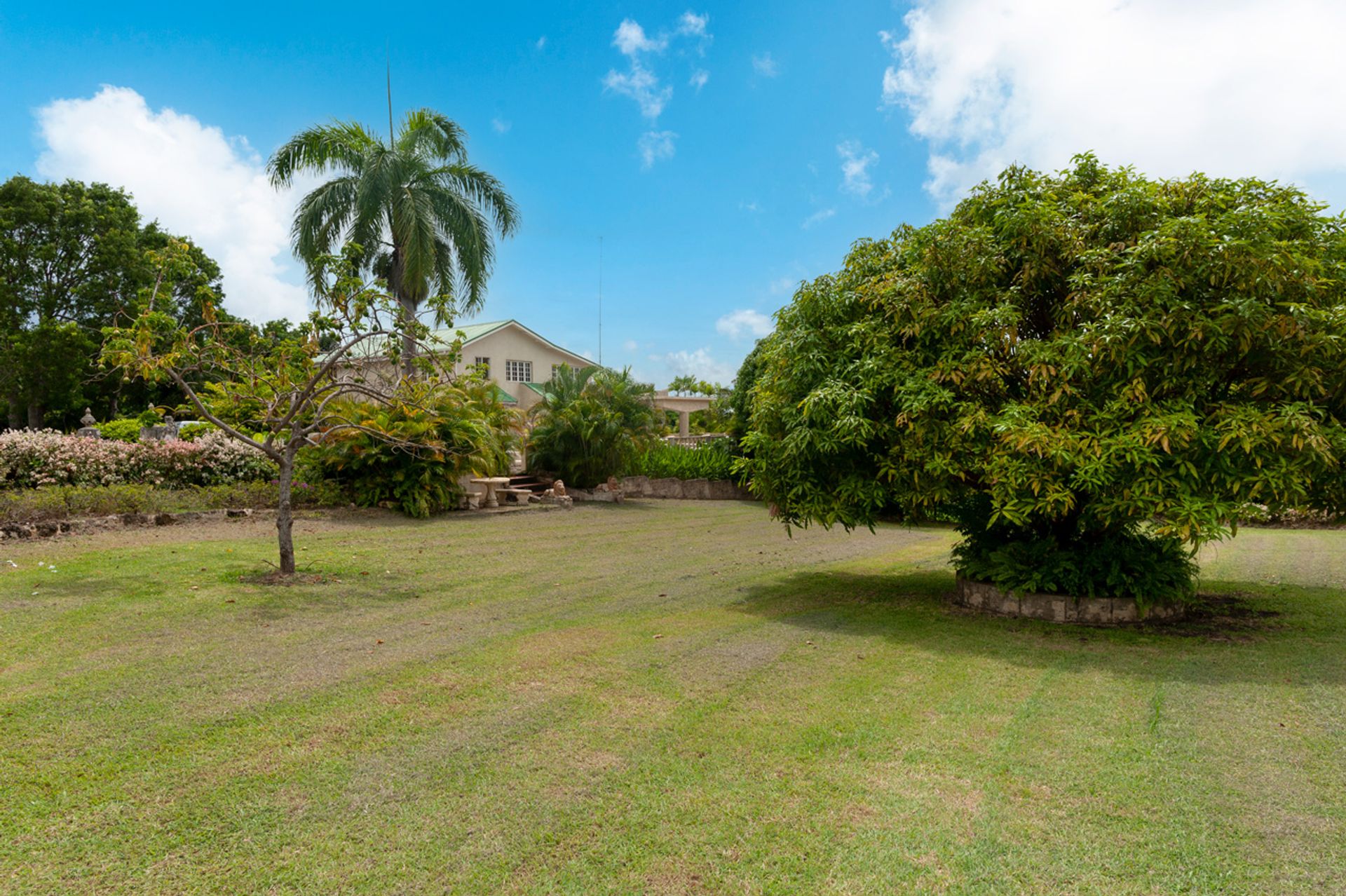 casa en Westmoreland, Saint James 11129181