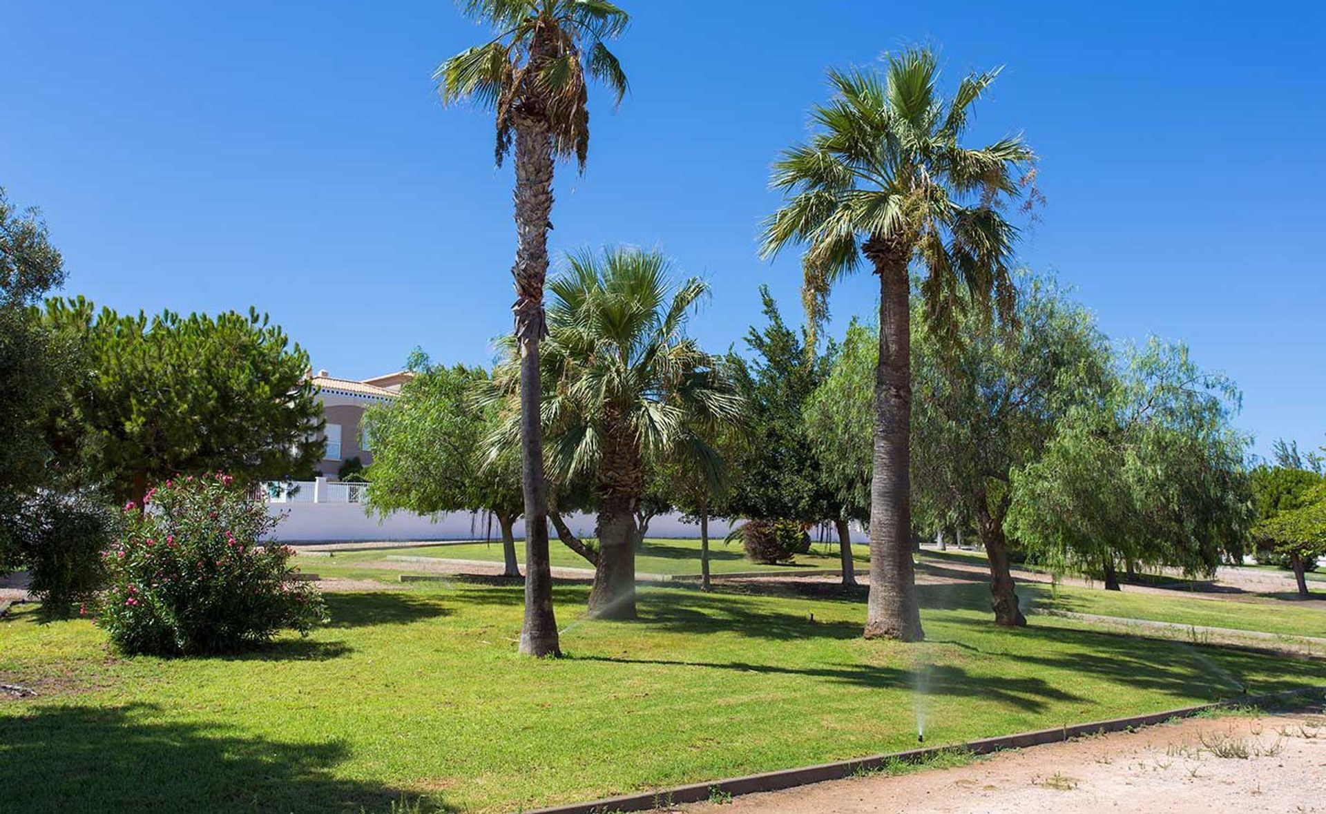 Muu sisään Torrevieja, Valencian Community 11129574