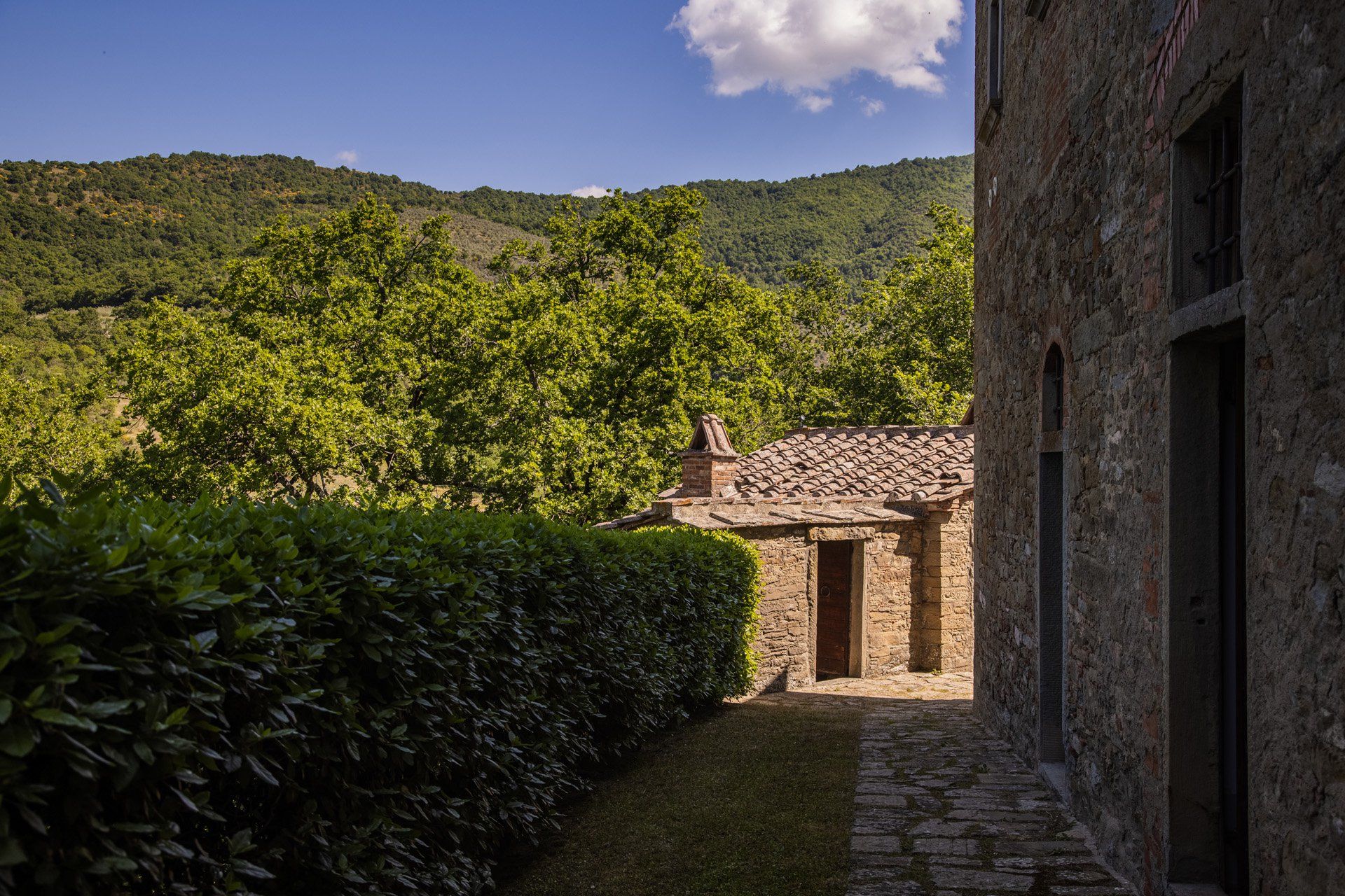 Autre dans Castiglion Fiorentino, Toscana 11129592