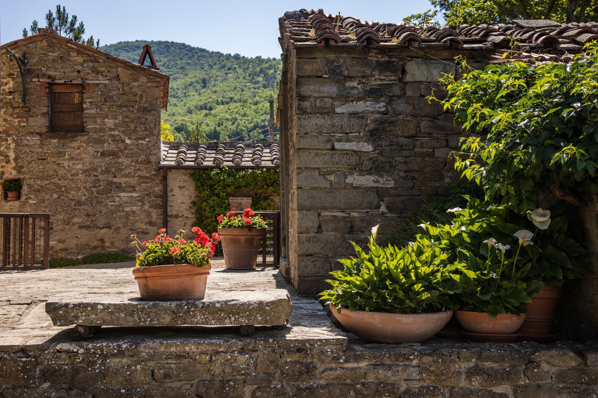 Autre dans Castiglion Fiorentino, Toscana 11129592