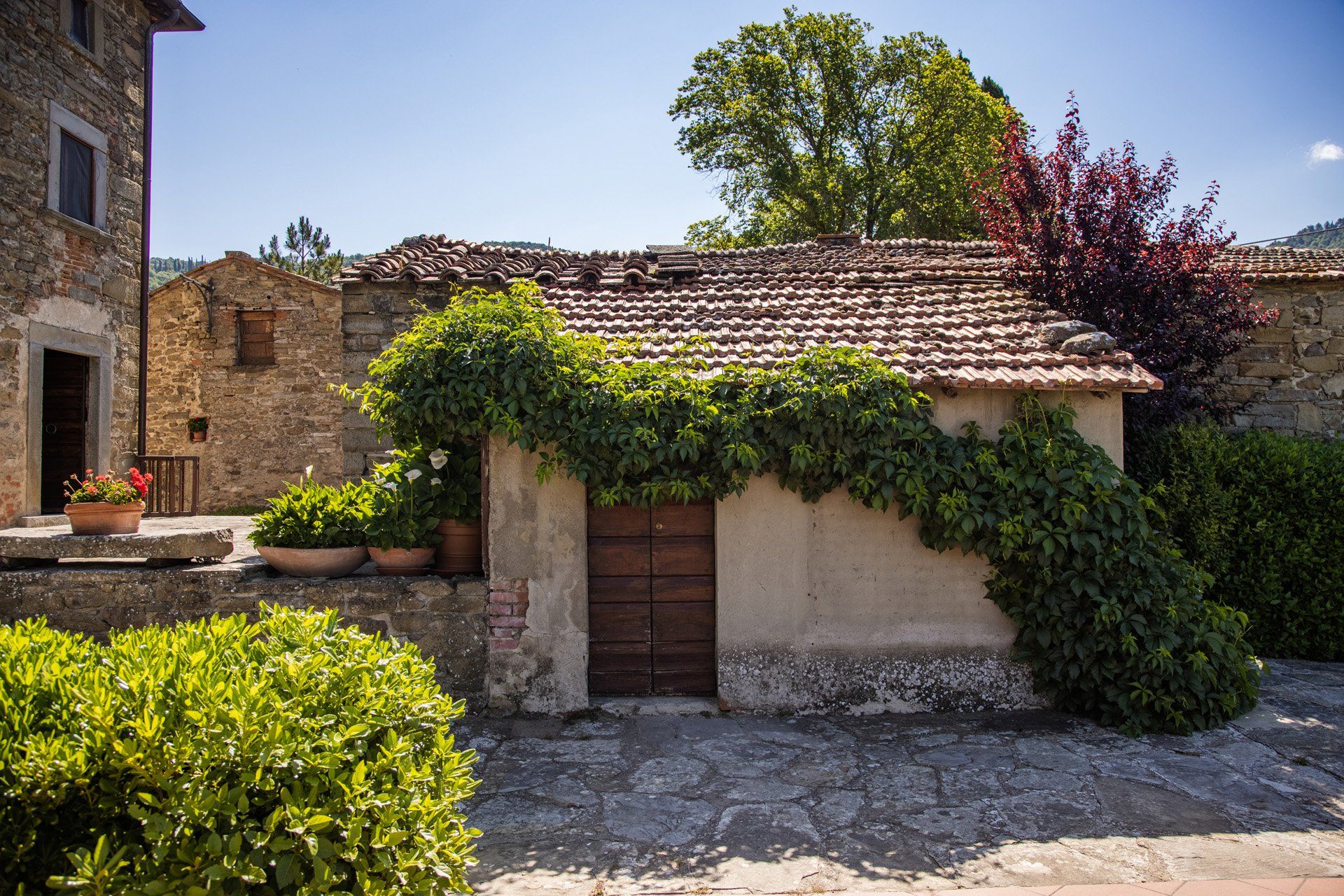 Autre dans Castiglion Fiorentino, Toscana 11129592