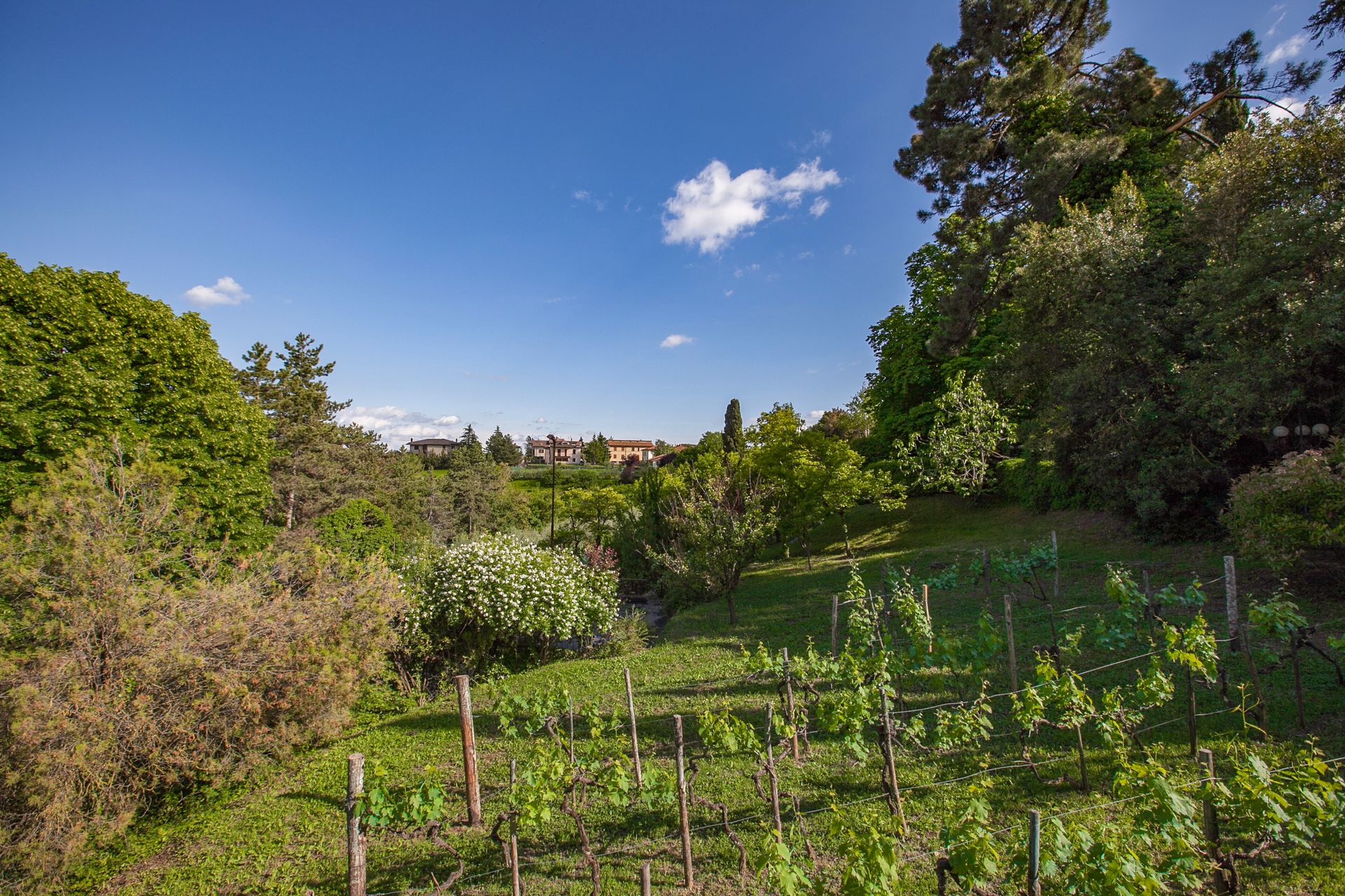 Casa nel , Tuscany 11129599