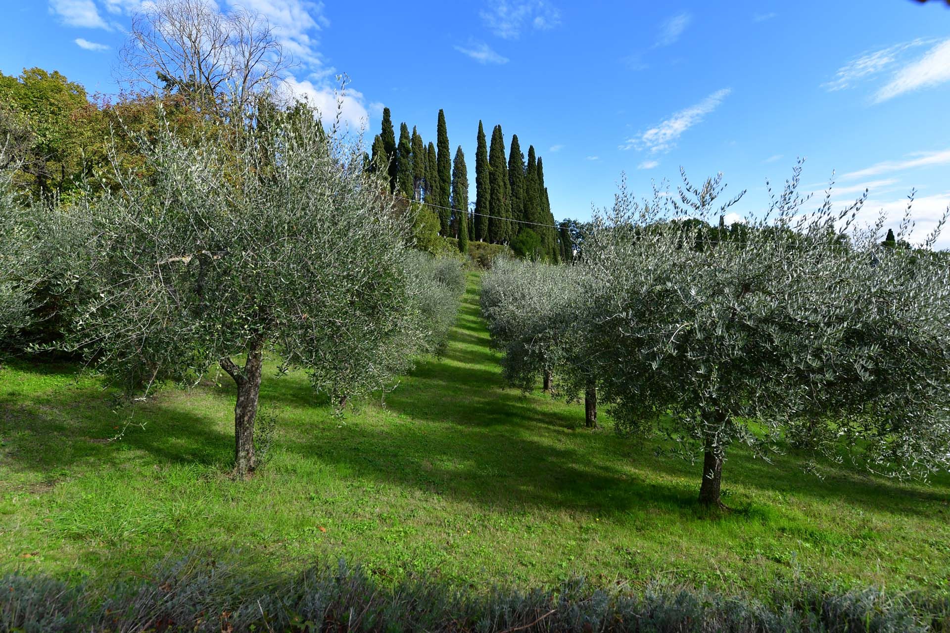 Hus i Sansepolcro, Toscana 11129612