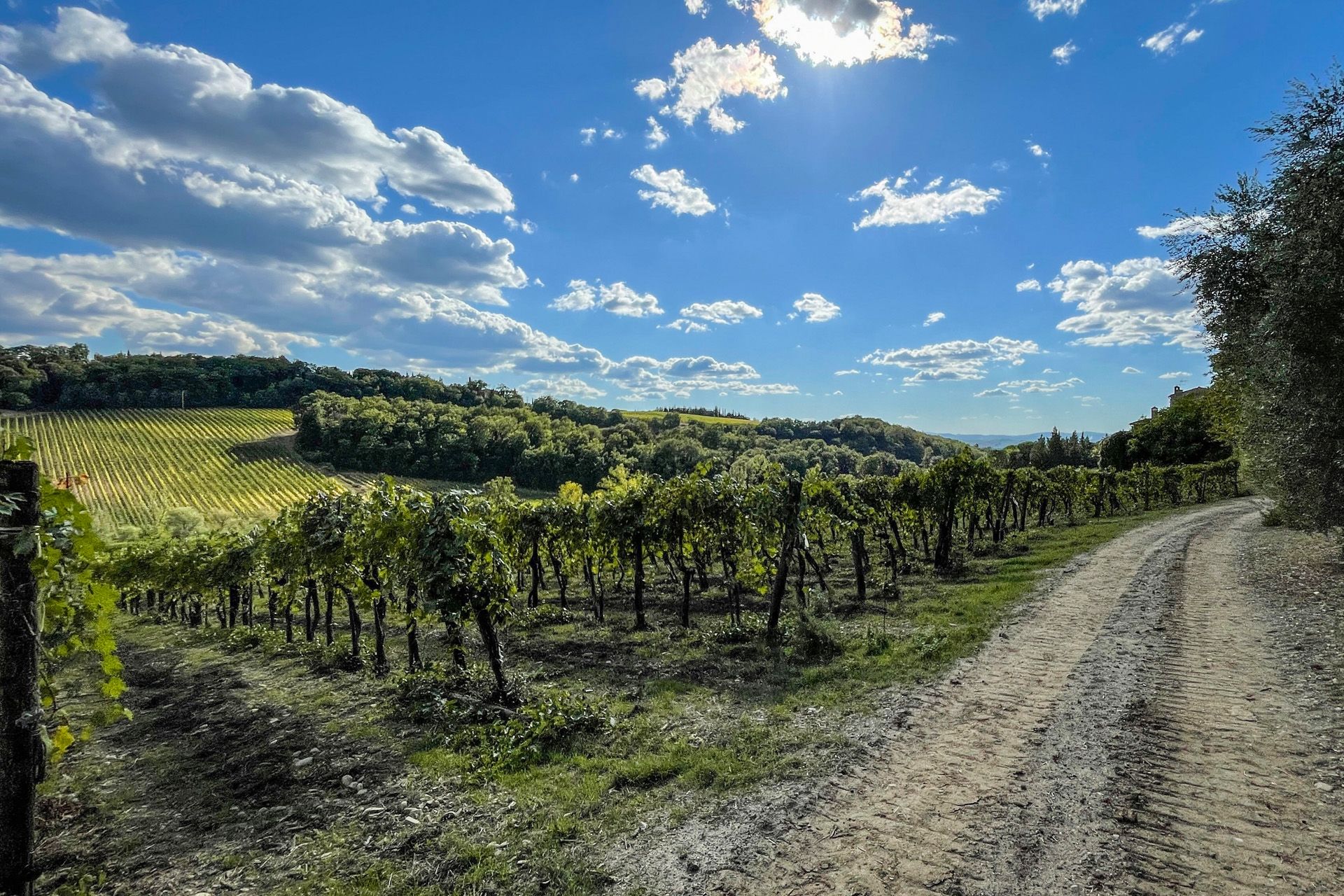 Andere in Castellina in Chianti, Toscana 11129616