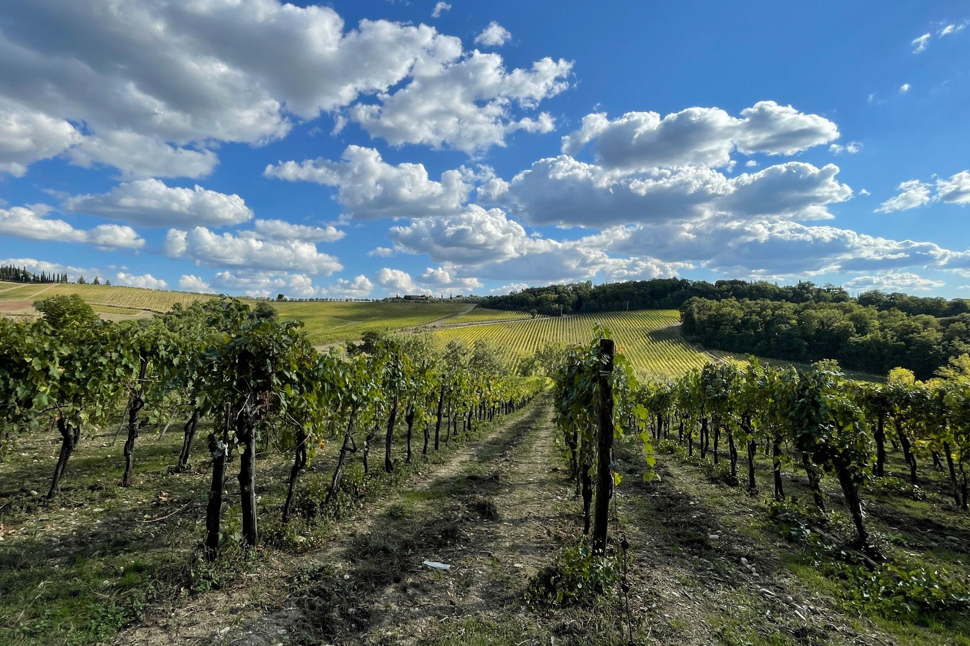 Andere in Castellina in Chianti, Toscana 11129616