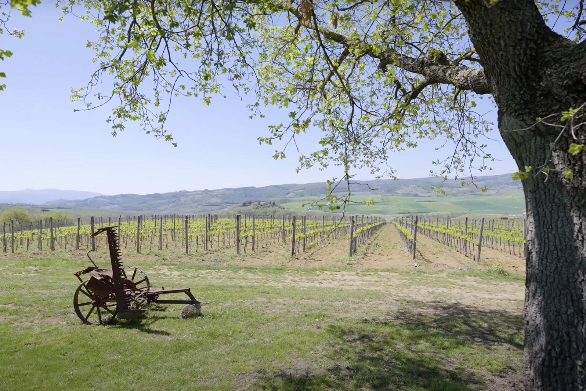 房子 在 San Quirico d'Orcia, Toscana 11129633