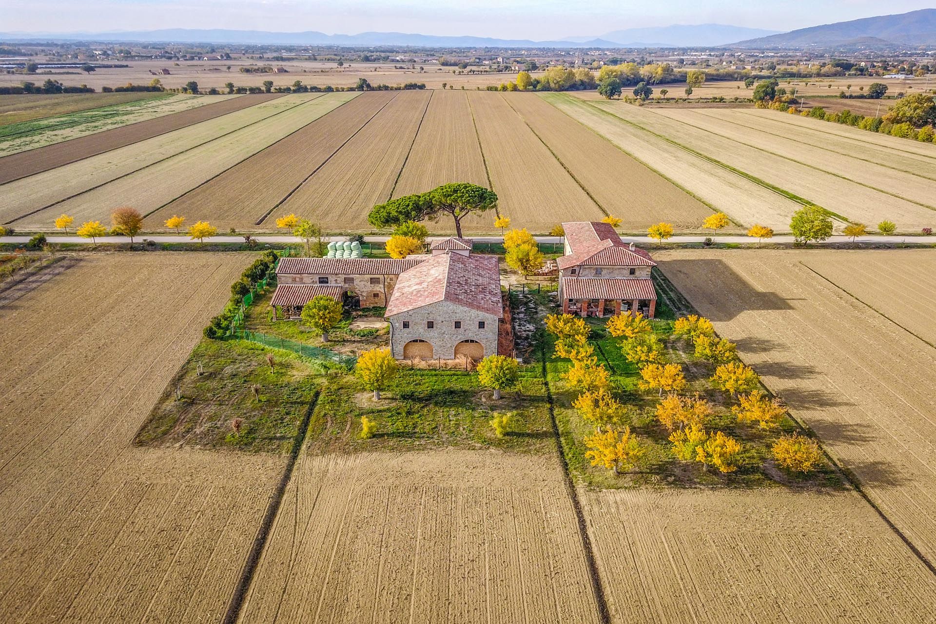 Detailhandel i Castiglion Fiorentino, Toscana 11129664