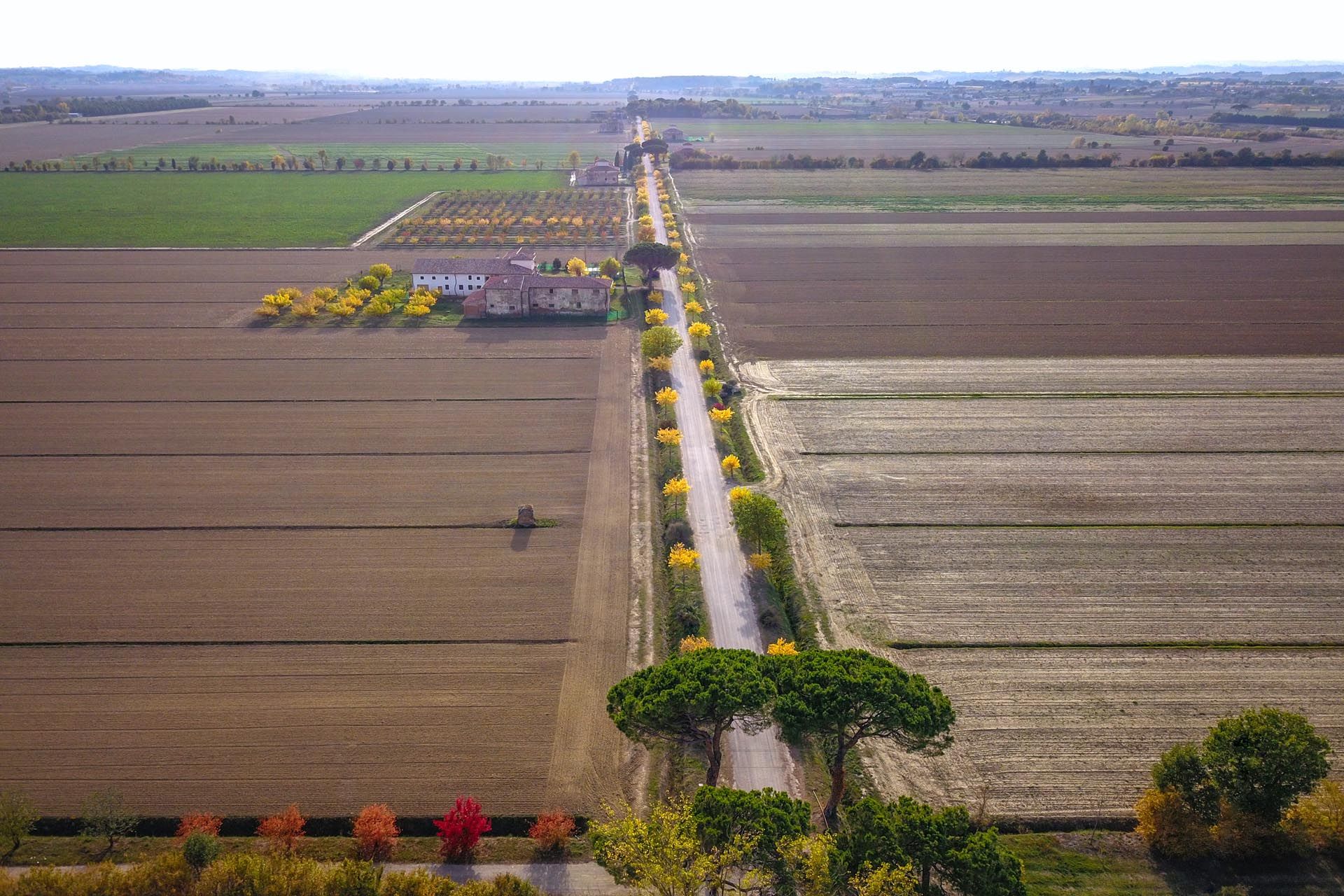 Detailhandel i Castiglion Fiorentino, Toscana 11129664