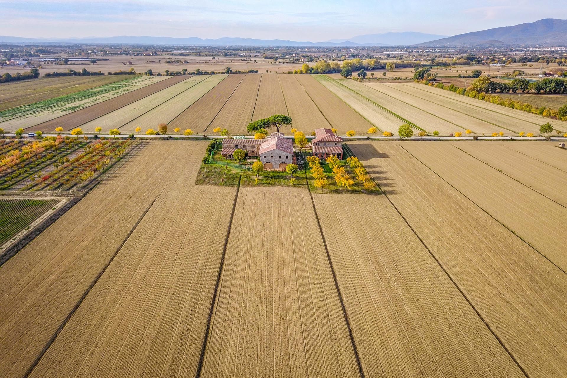 Detailhandel i Castiglion Fiorentino, Toscana 11129664