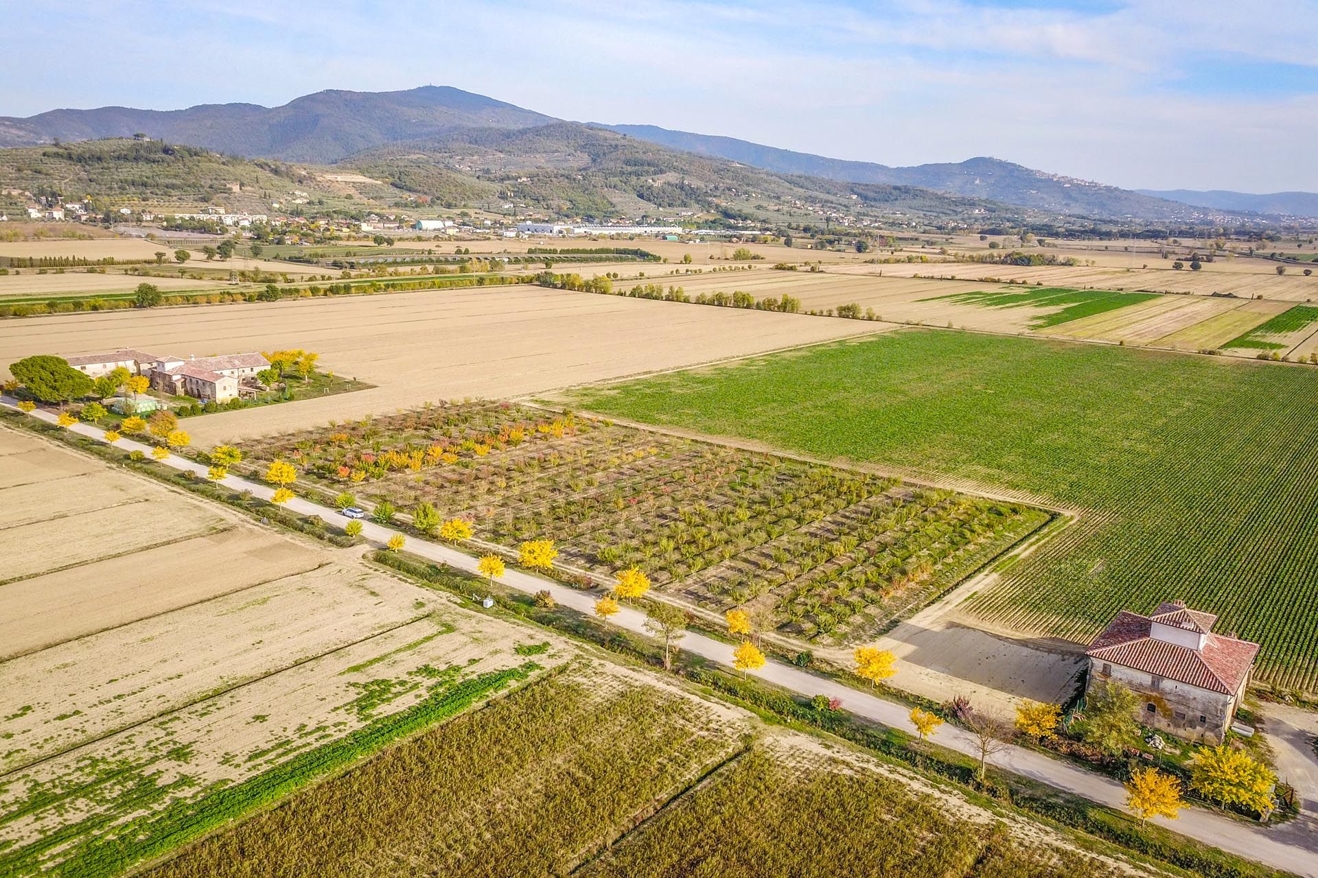 Sprzedaż detaliczna w Castiglion Fiorentino, Tuscany 11129664