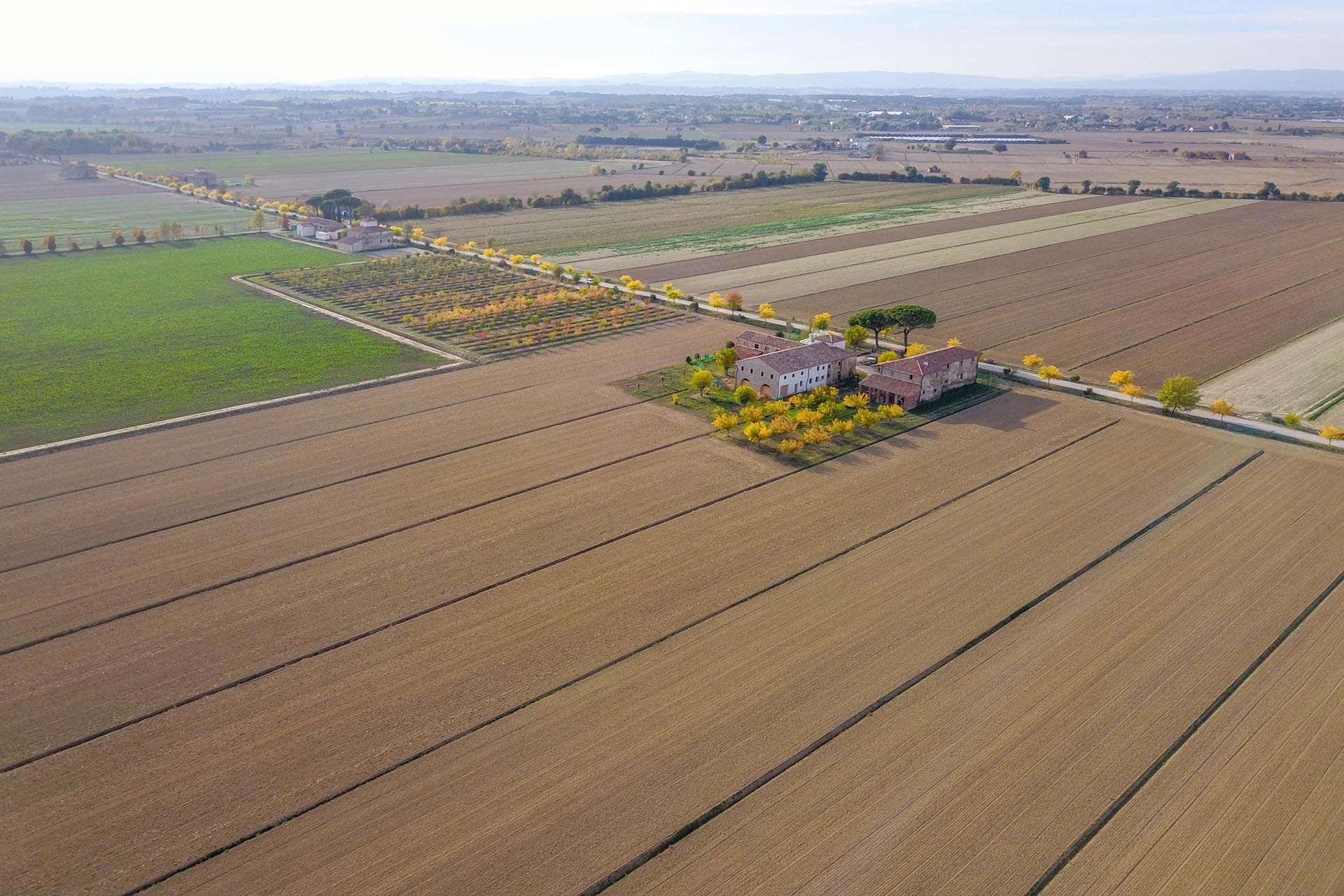 Sprzedaż detaliczna w Castiglion Fiorentino, Tuscany 11129664