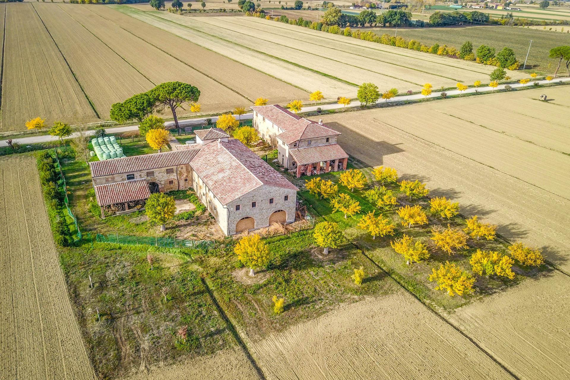 Sprzedaż detaliczna w Castiglion Fiorentino, Tuscany 11129664