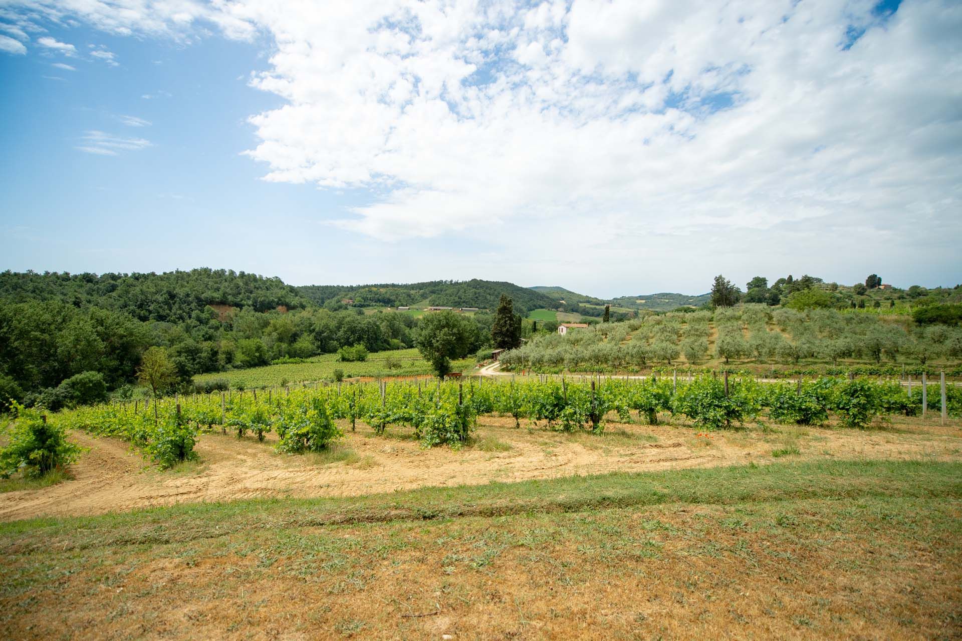 Autre dans Montepulciano, Toscana 11129715