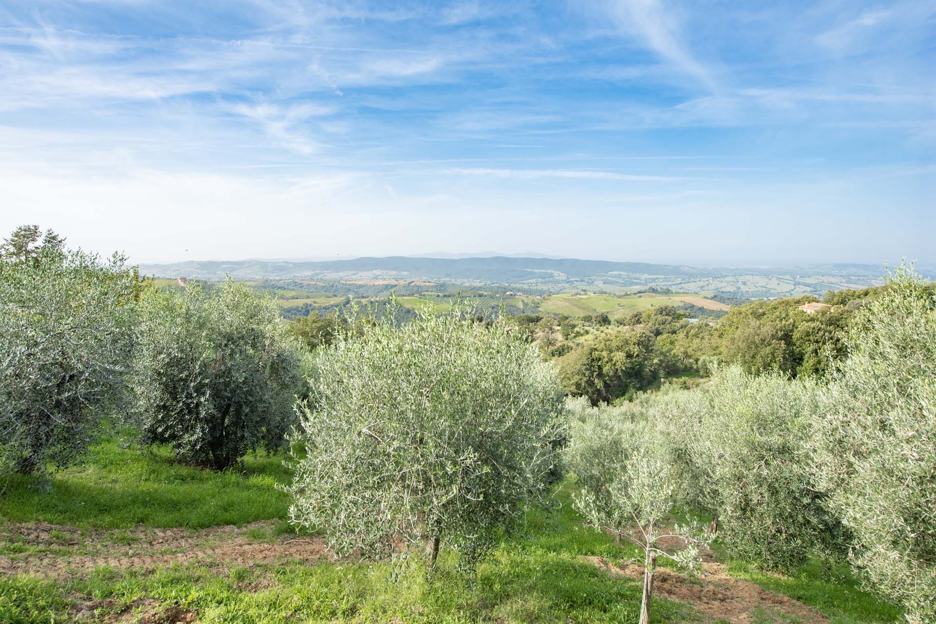 بيت في Grosseto, Tuscany 11129743