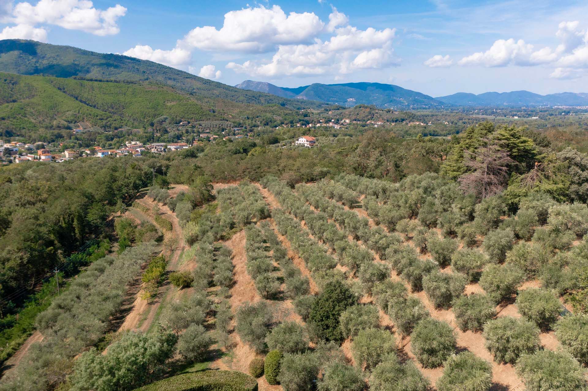 casa en Lucca, Toscana 11129744