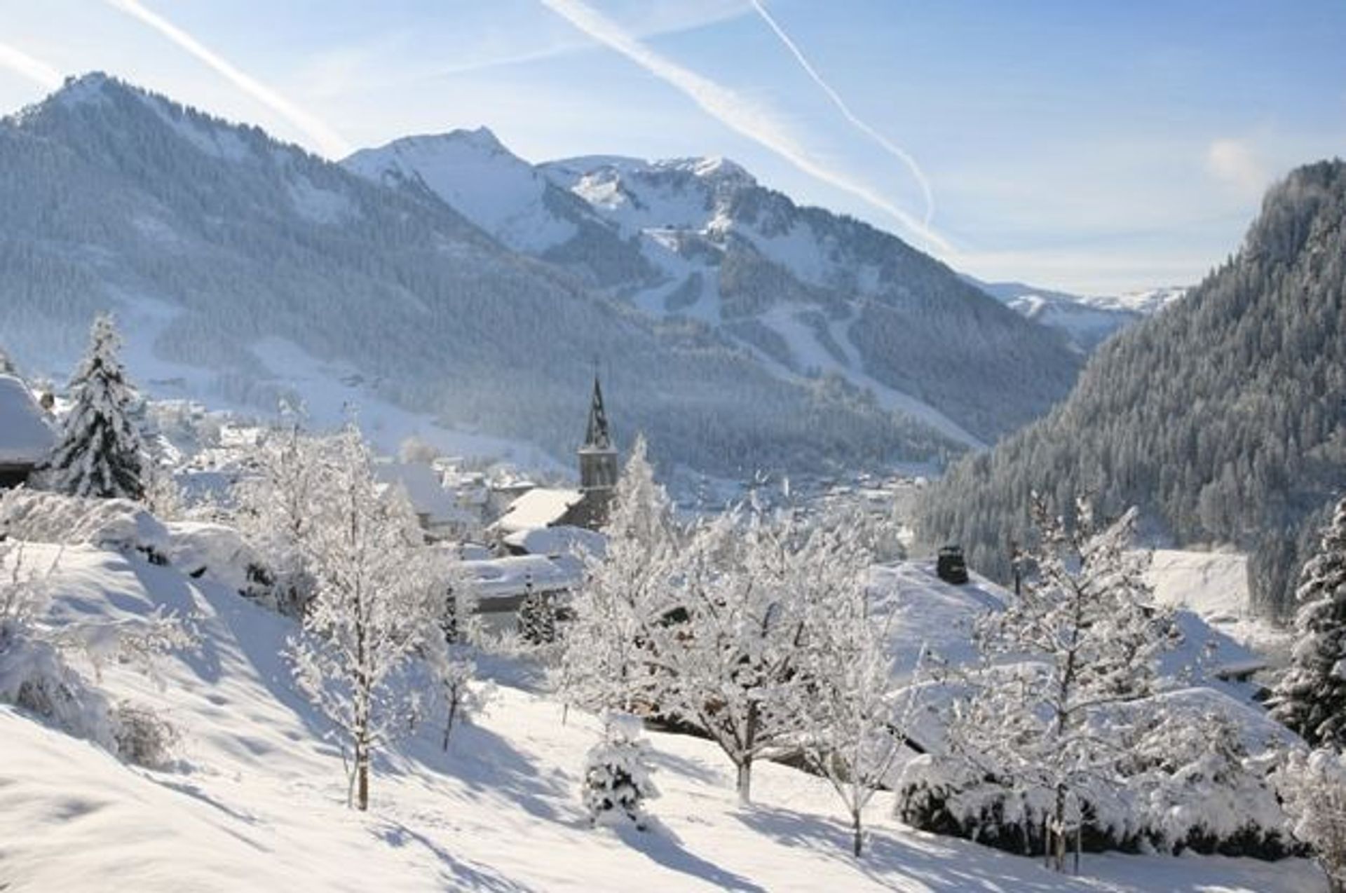 Dom w Châtel, Auvergne-Rhône-Alpes 11129754