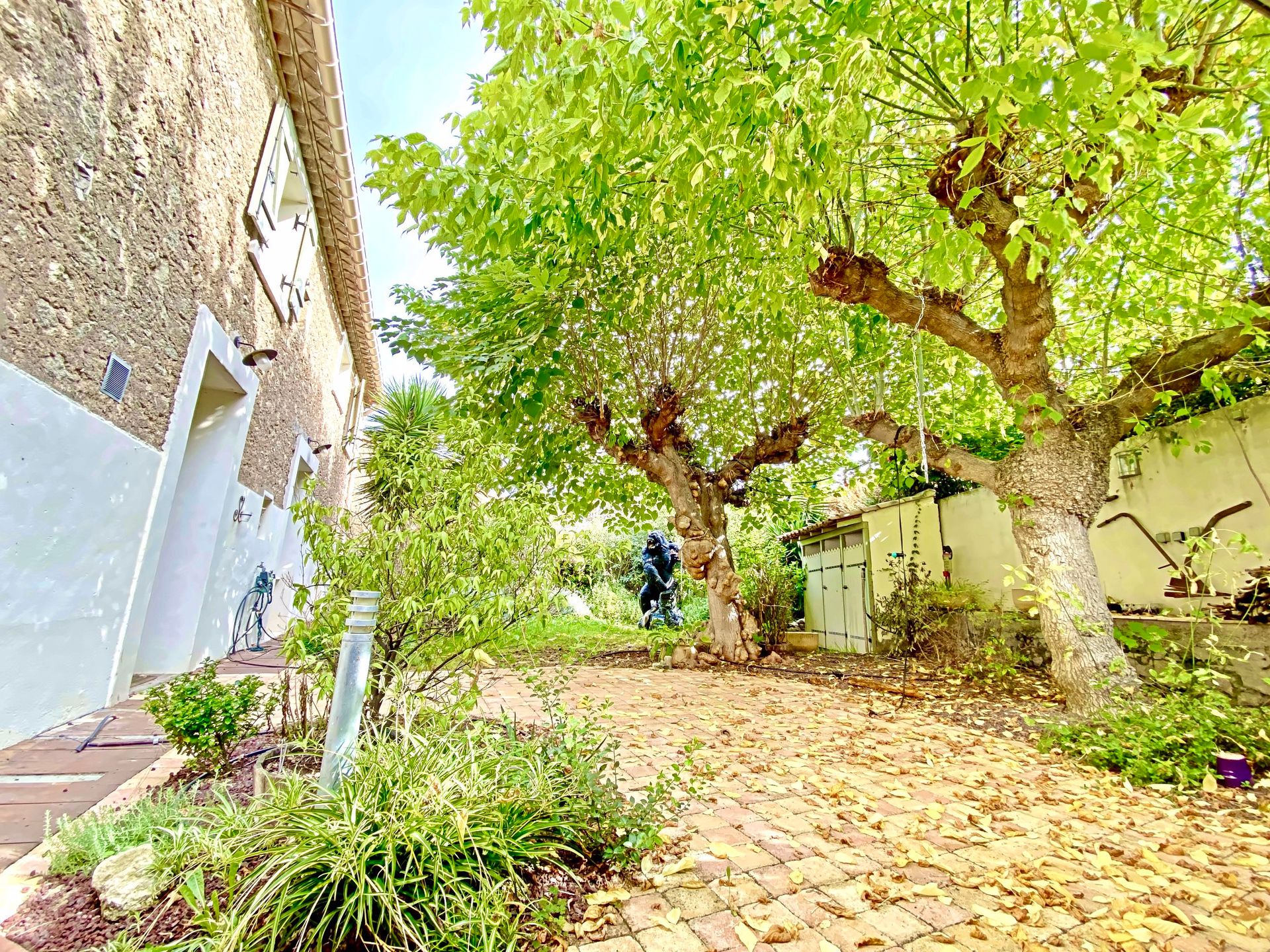 Haus im Pézenas, Occitanie 11129758