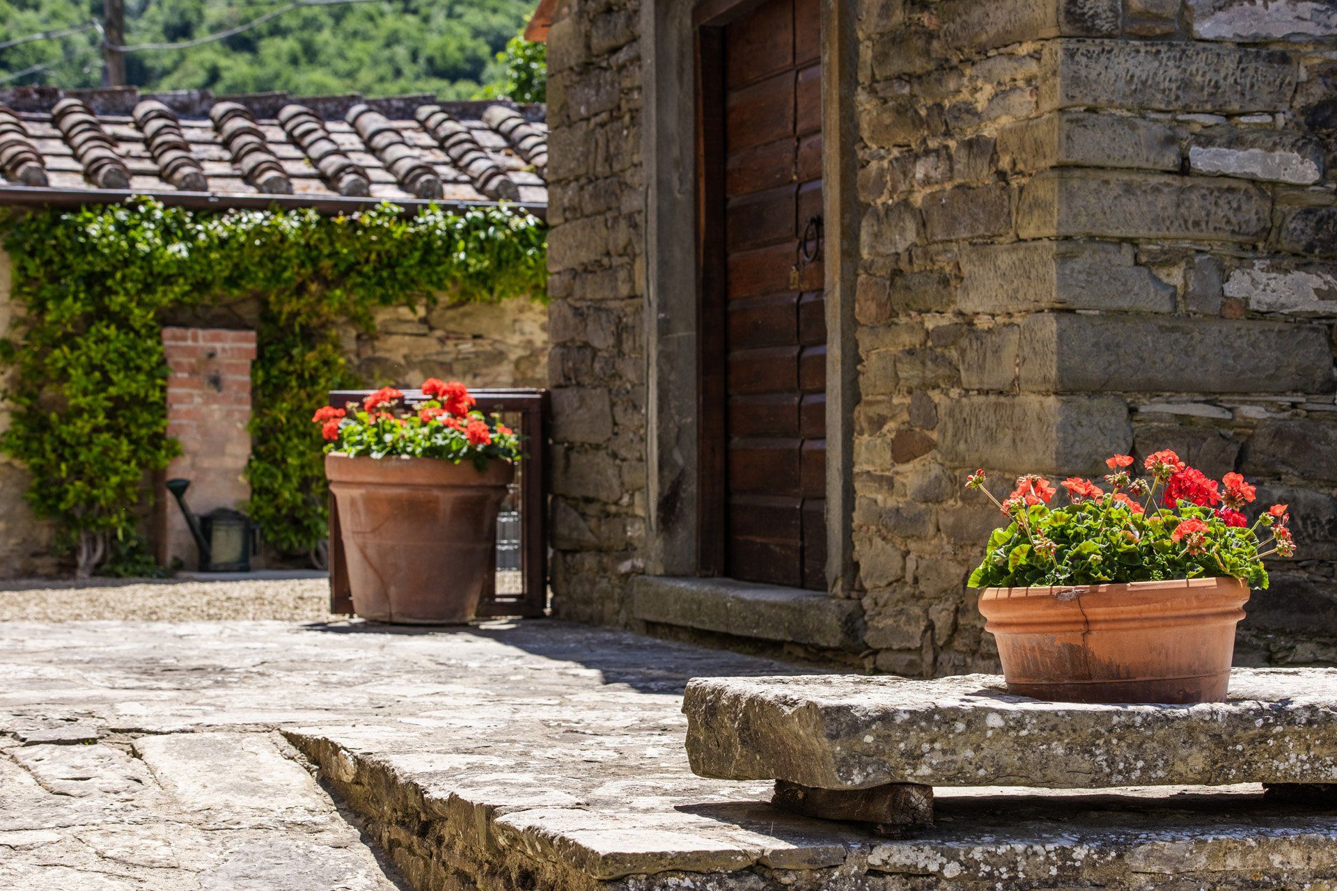 Altro nel Castiglion Fiorentino, Toscana 11129769