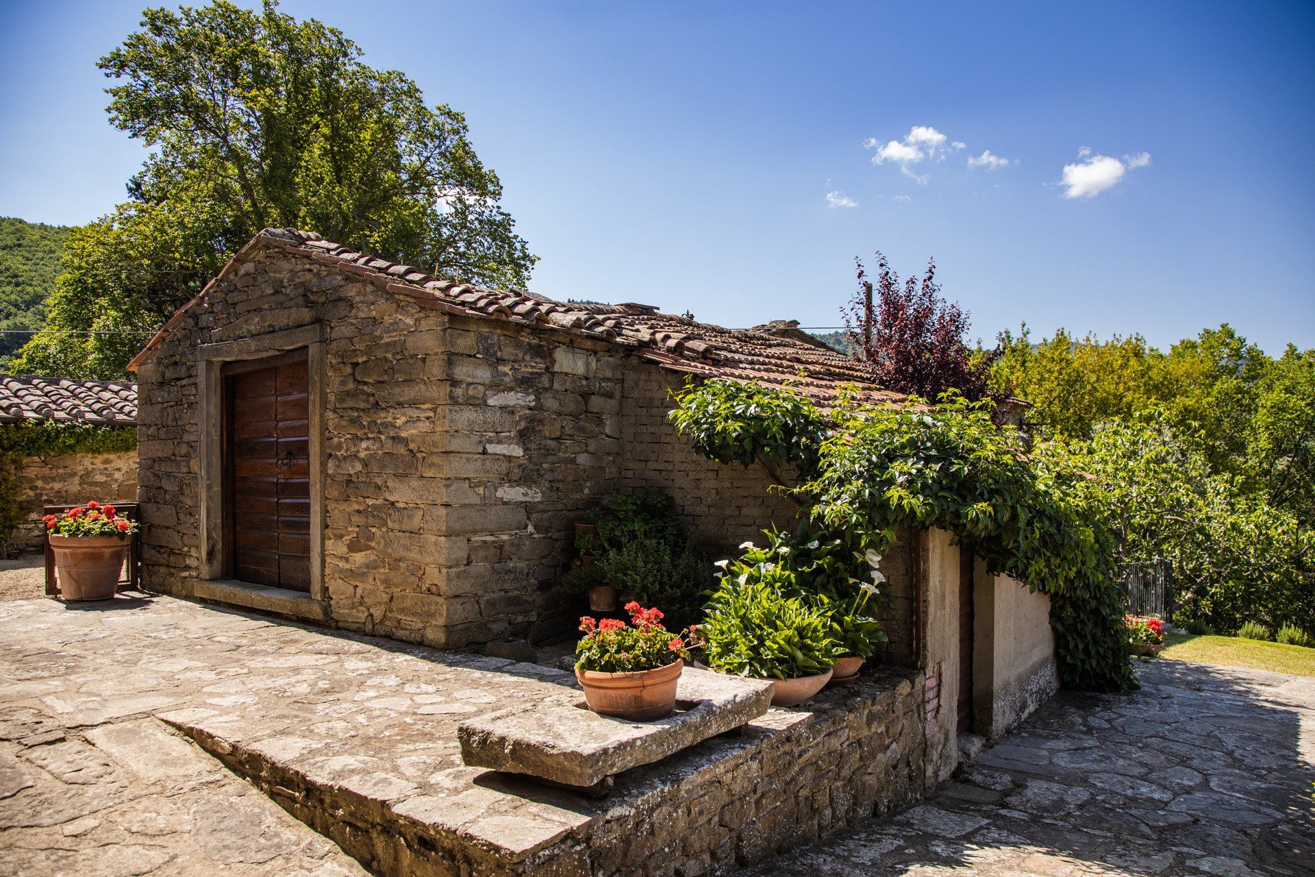 Altro nel Castiglion Fiorentino, Toscana 11129769