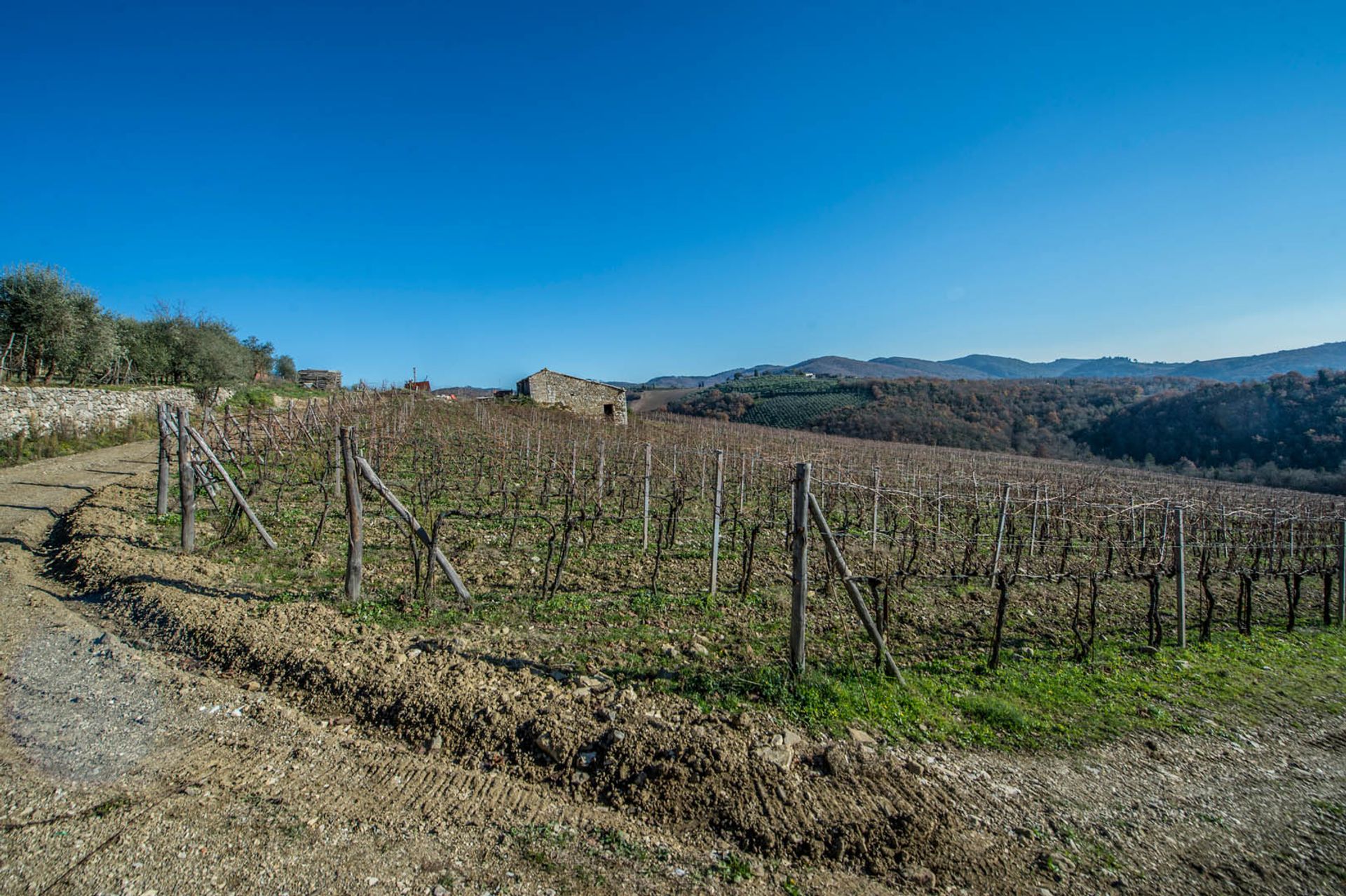 Muu sisään Gaiole in Chianti, Toscana 11129778