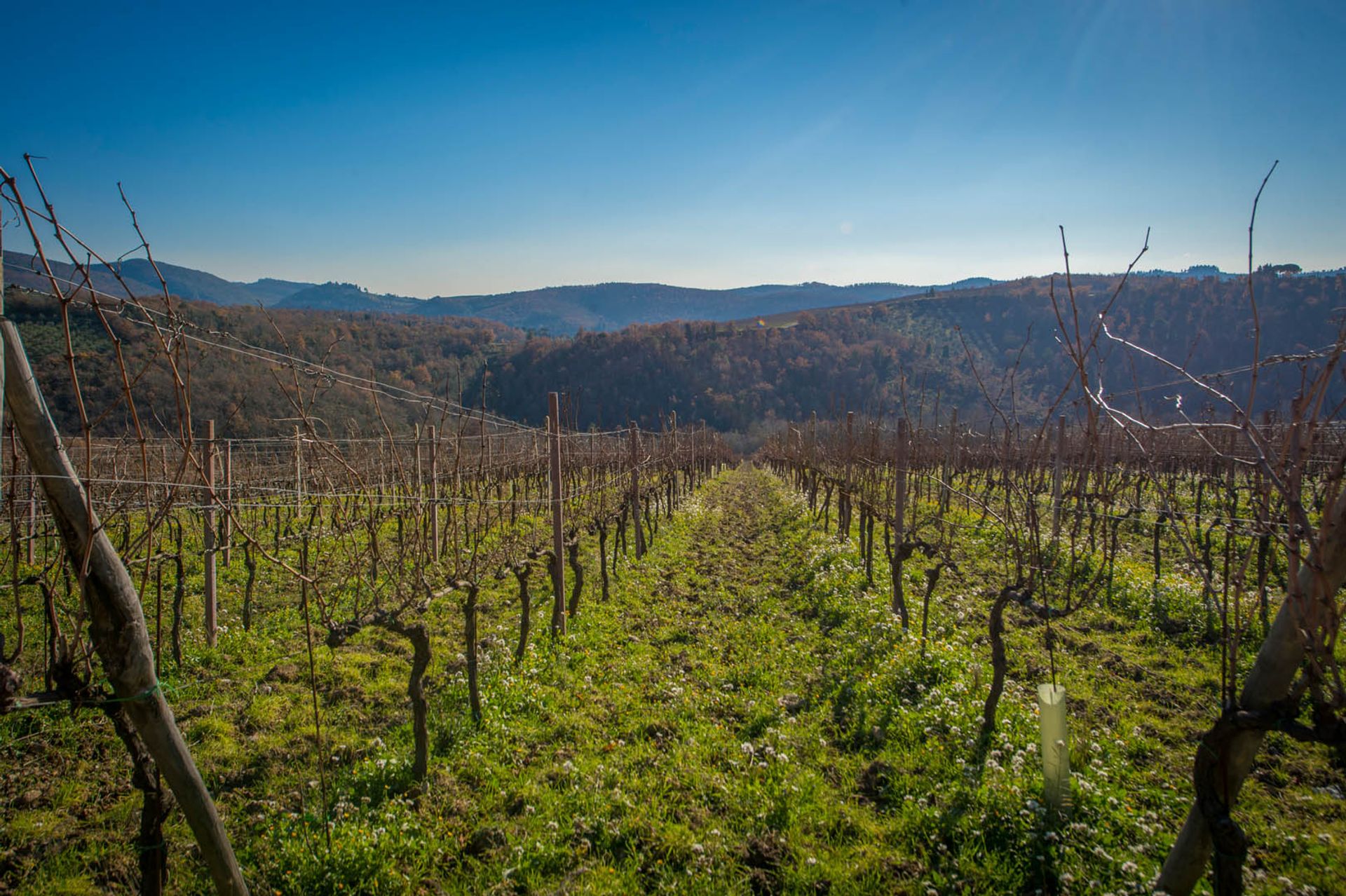 Другой в Gaiole in Chianti, Tuscany 11129778