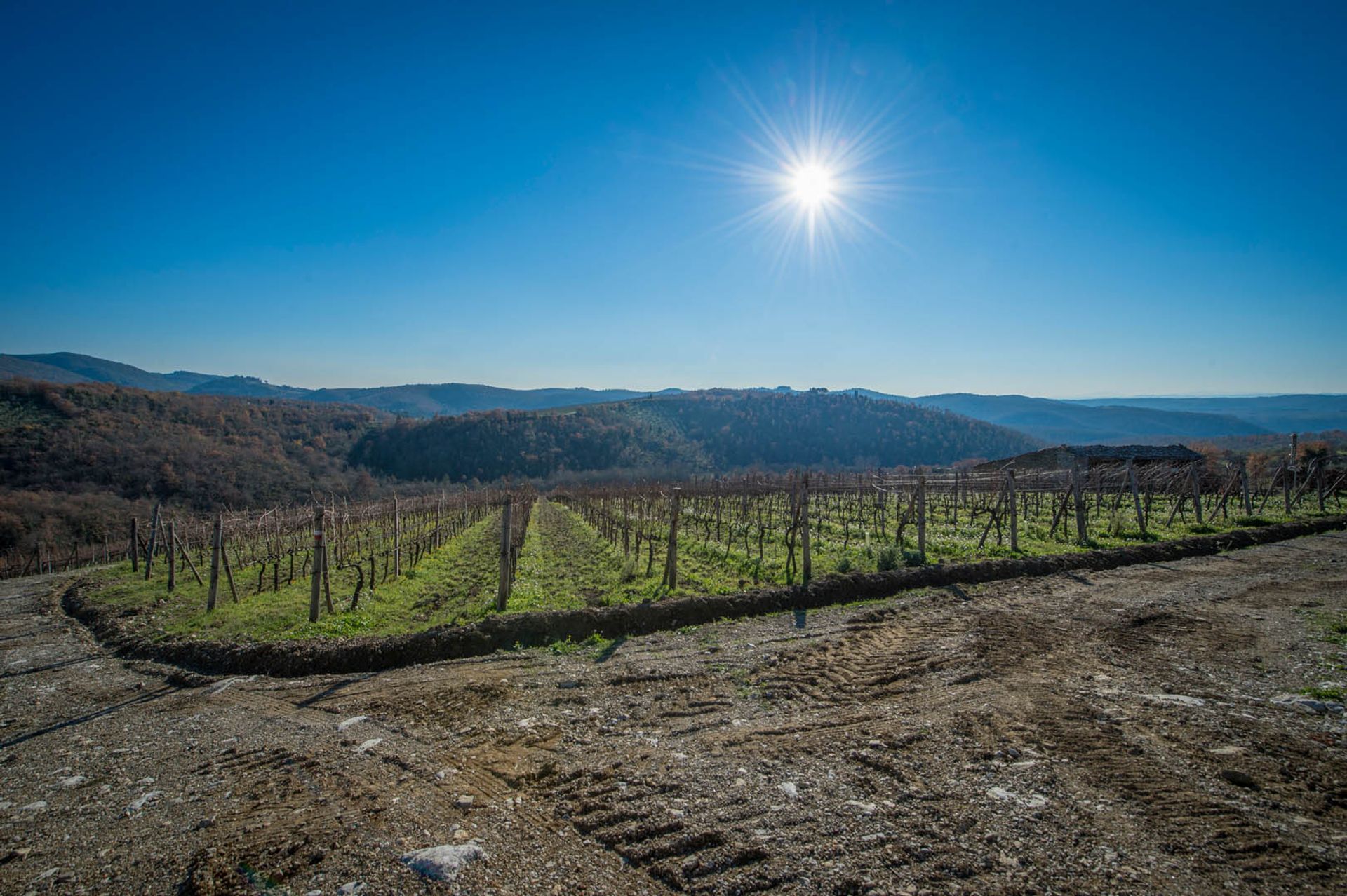 Другой в Gaiole in Chianti, Tuscany 11129778