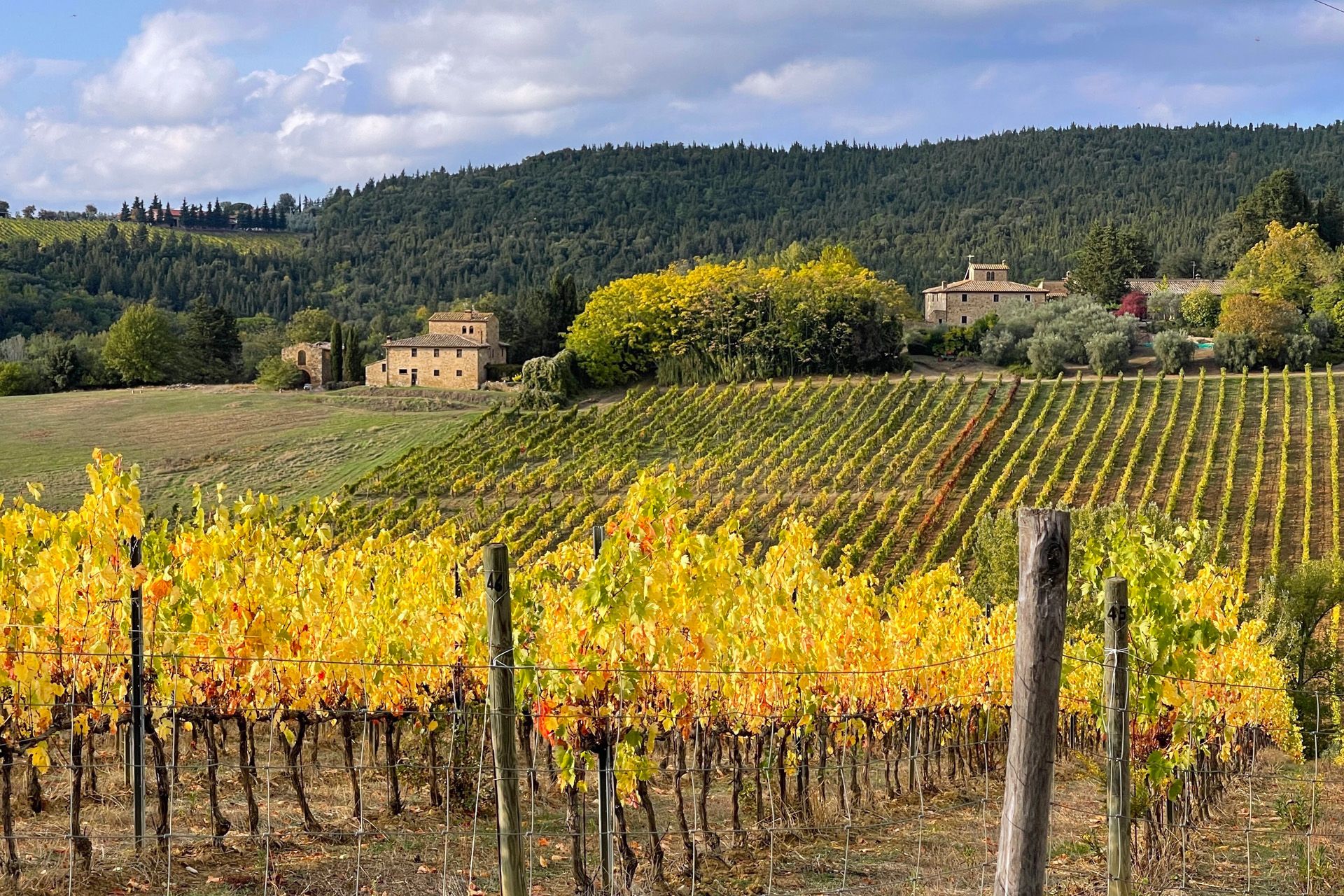 其他 在 Castellina in Chianti, Tuscany 11129799