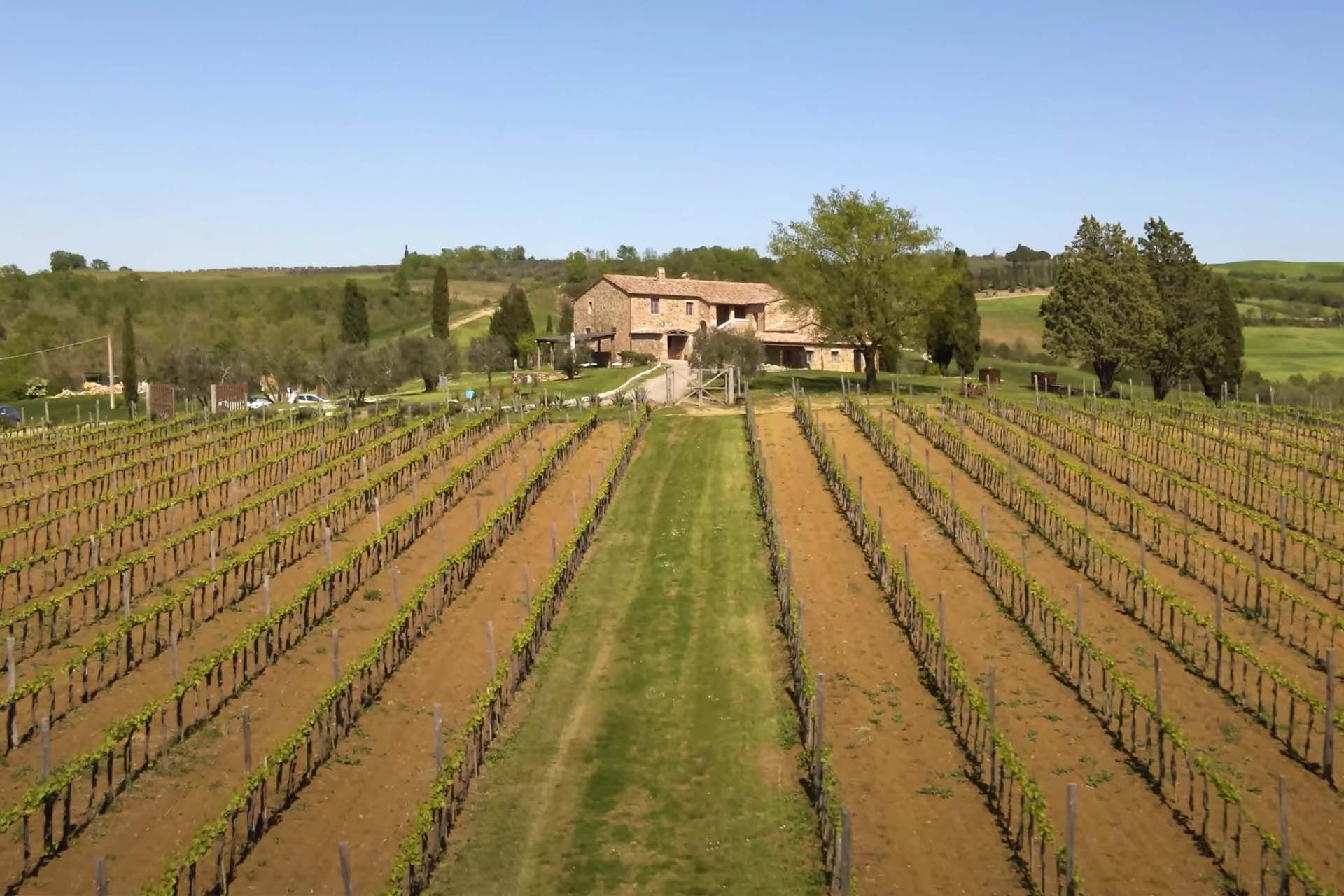 Haus im San Quirico d'Orcia, Toscana 11129829