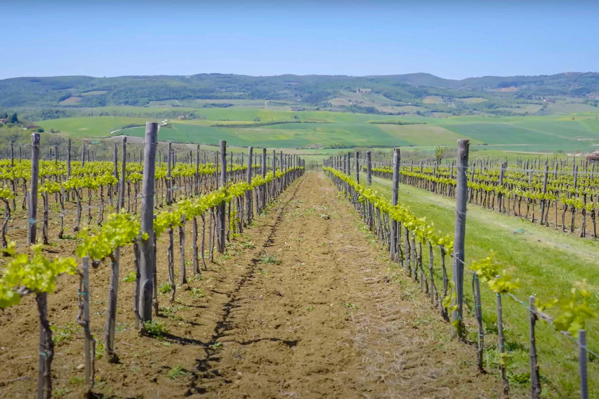 Haus im San Quirico d'Orcia, Toscana 11129829