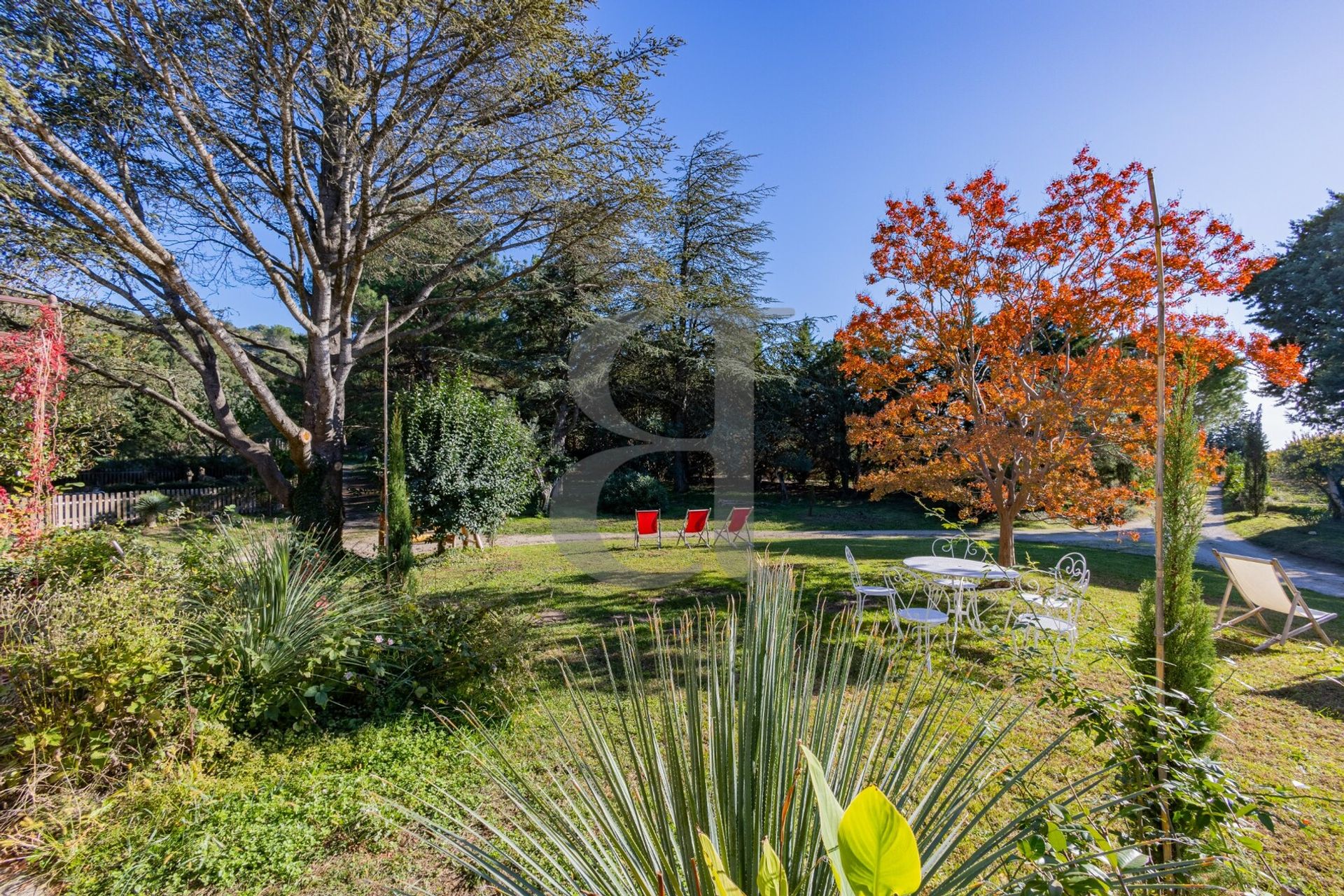 loger dans Saint-Rémy-de-Provence, Provence-Alpes-Côte d'Azur 11130006