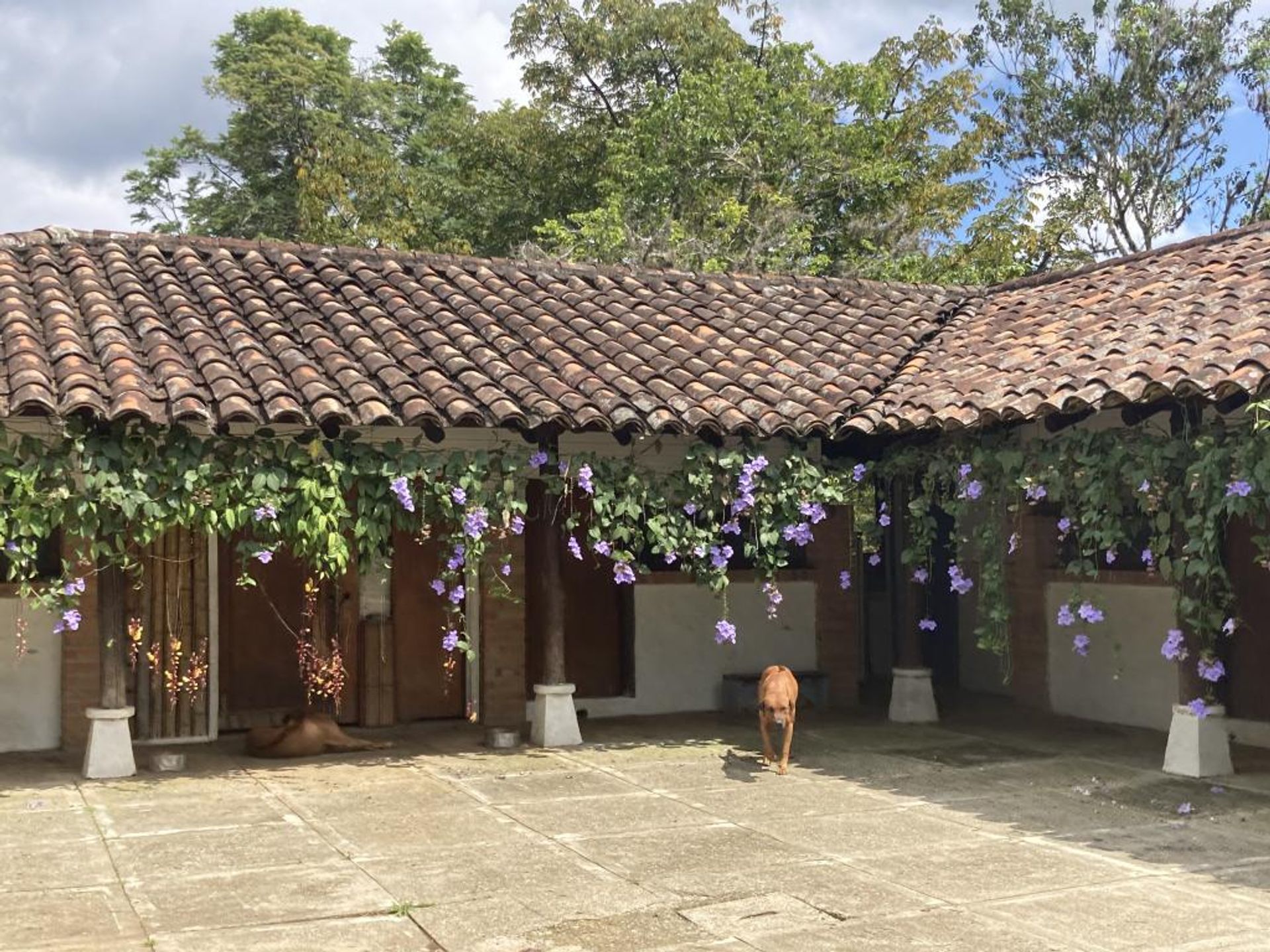 casa en Cali, Valle del Cauca 11130257