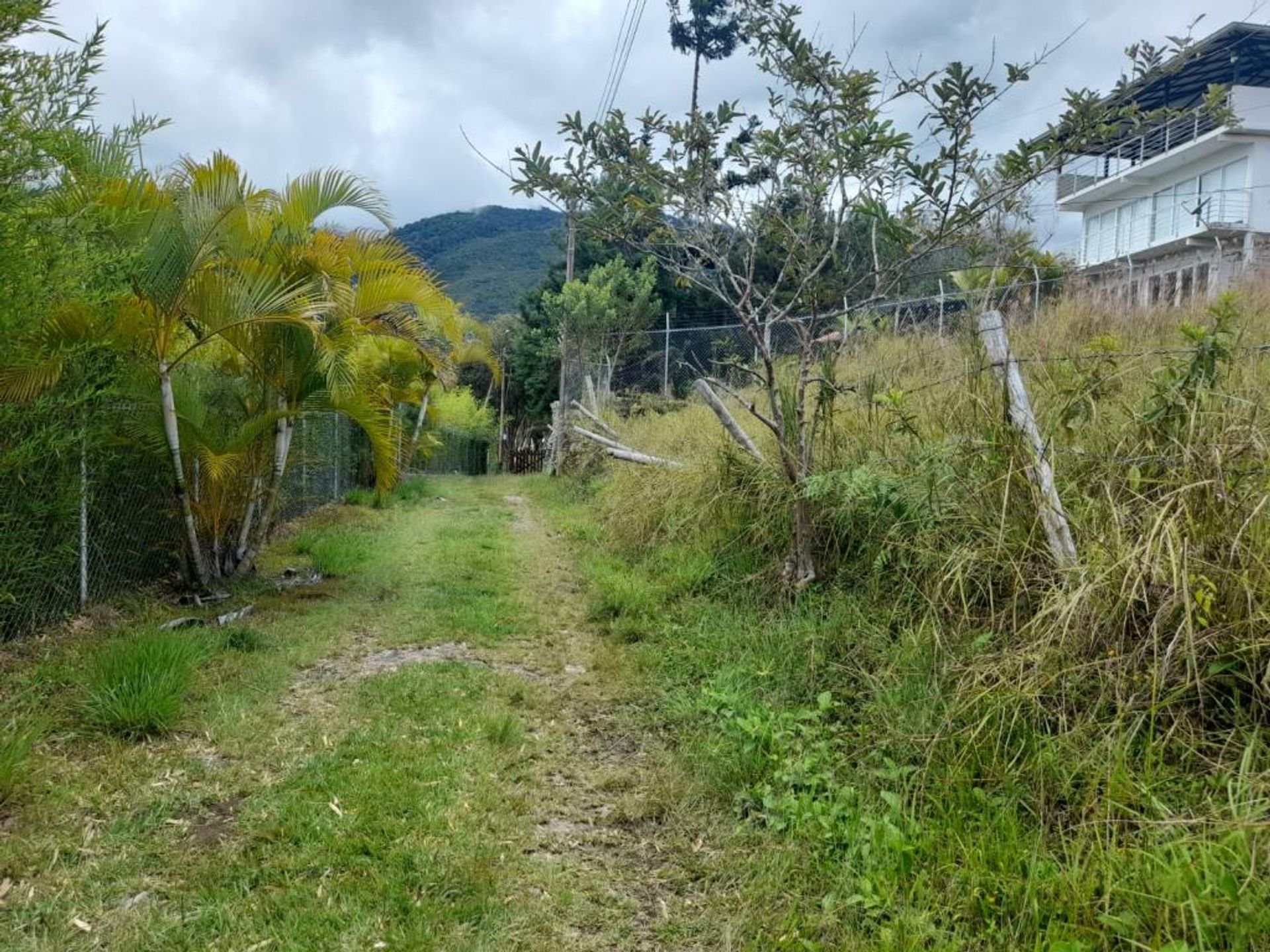 土地 在 達連, 考卡山谷 11130271