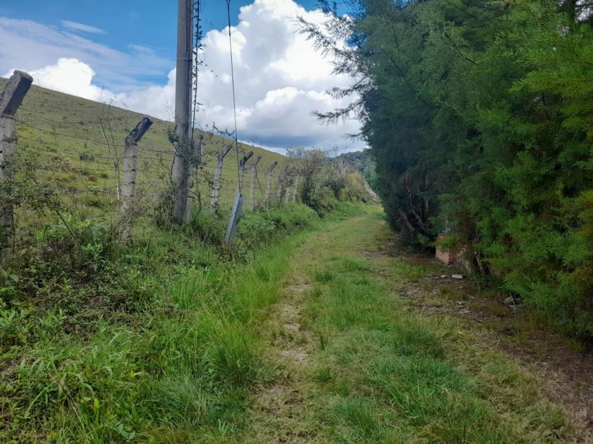 Land in Darién, Valle del Cauca 11130271