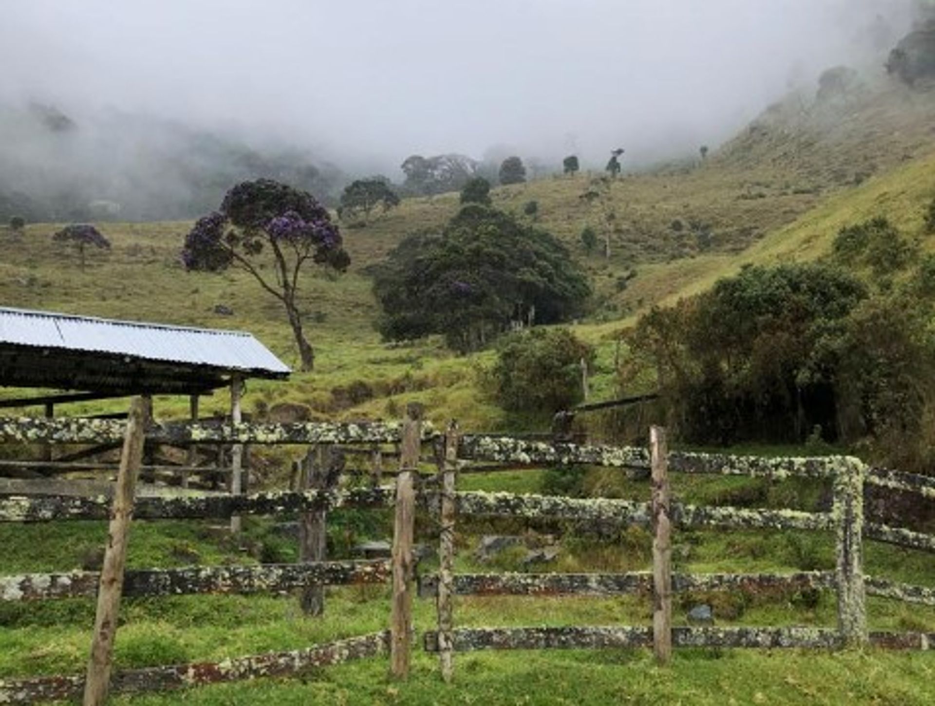 жилой дом в , Valle del Cauca 11130287