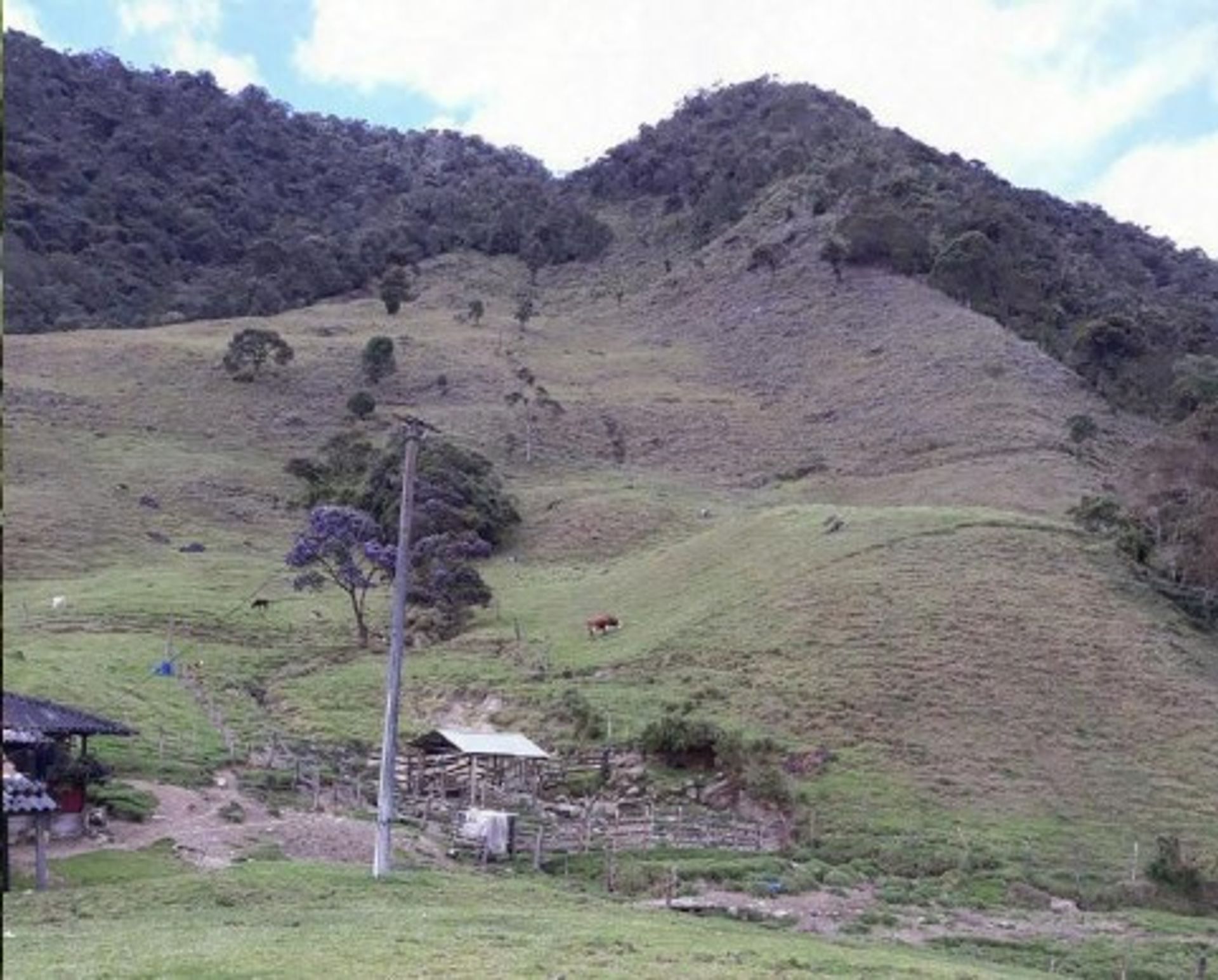 房子 在 , Valle del Cauca 11130287