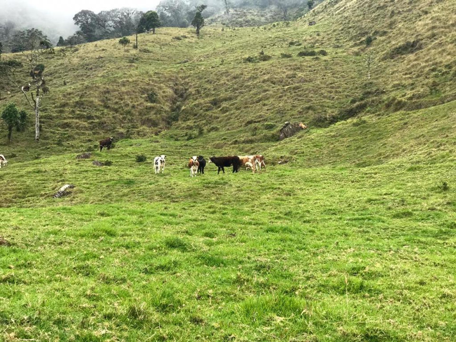 жилой дом в , Valle del Cauca 11130287