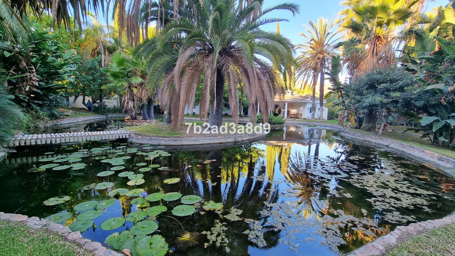 casa en El Ángel, Andalucía 11130431