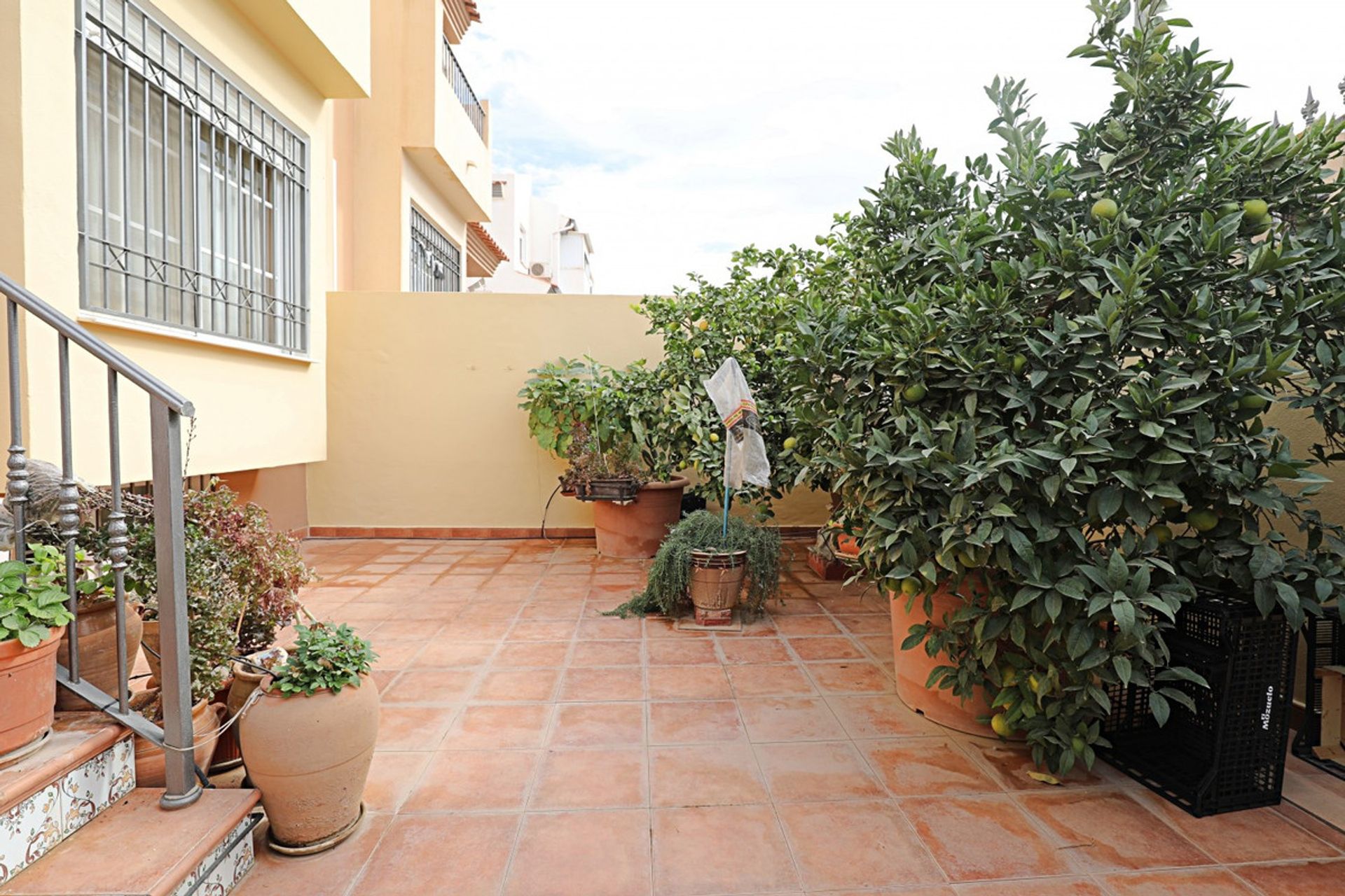 Casa nel Almayate Alto, Andalusia 11130762