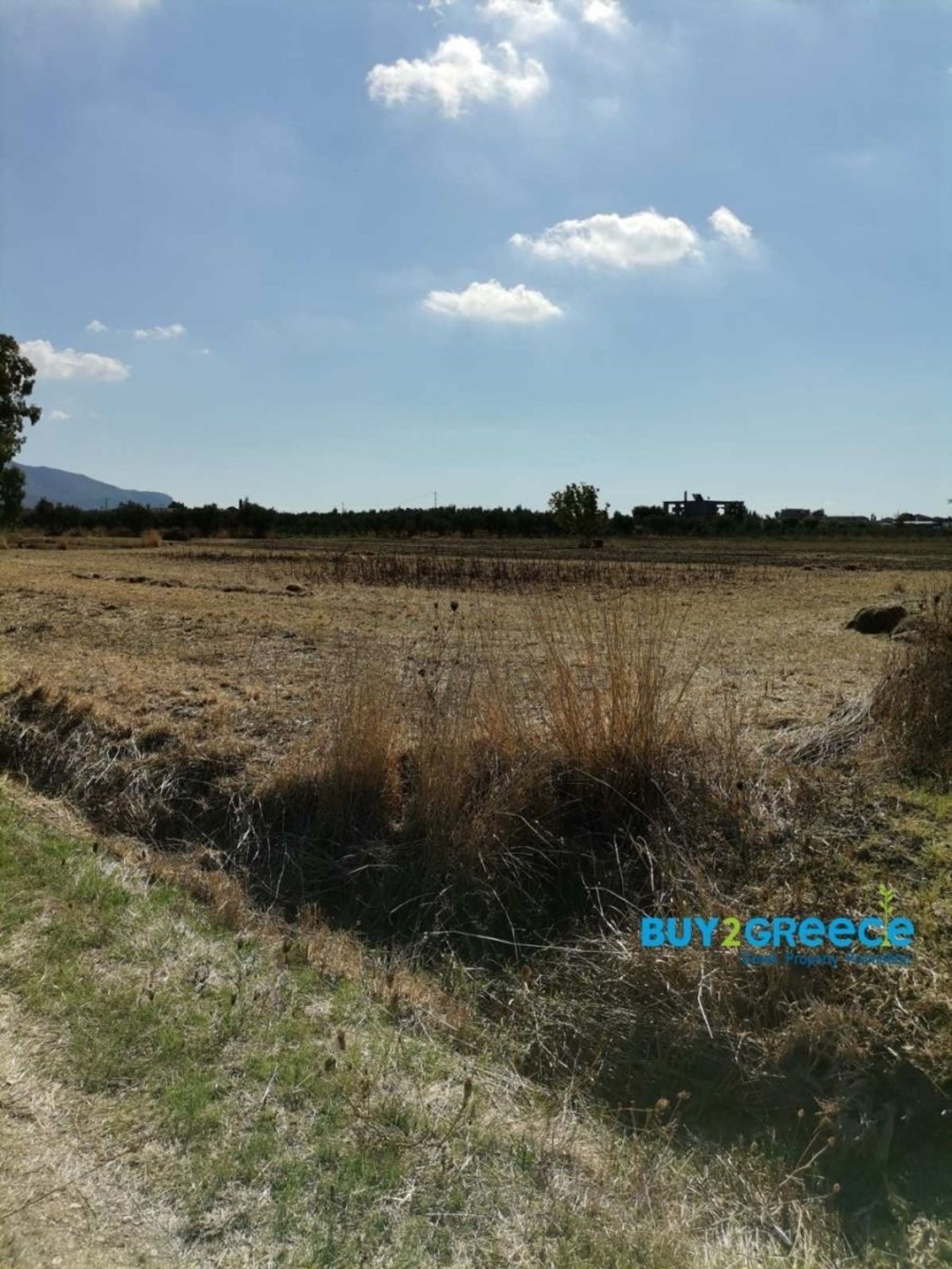 Land i Zografos, Attiki 11130965