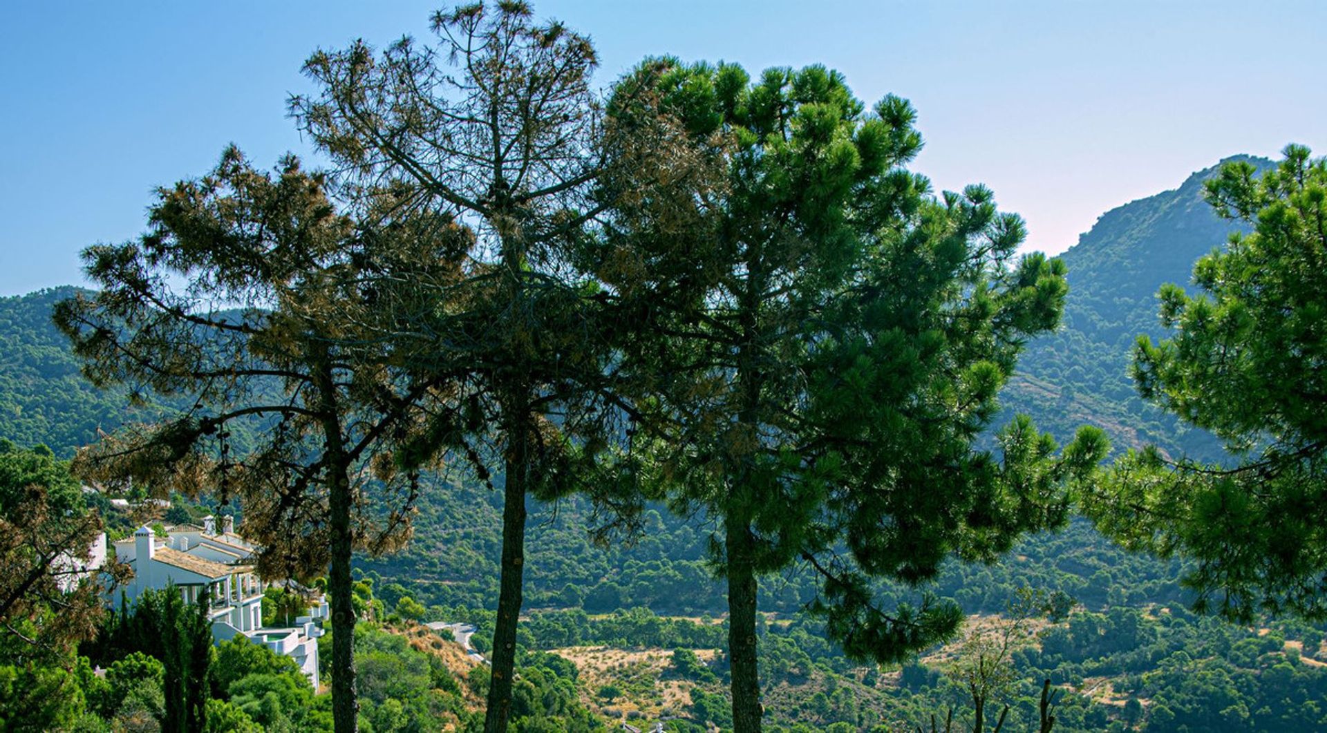 casa no Benahavís, Andalusia 11133419