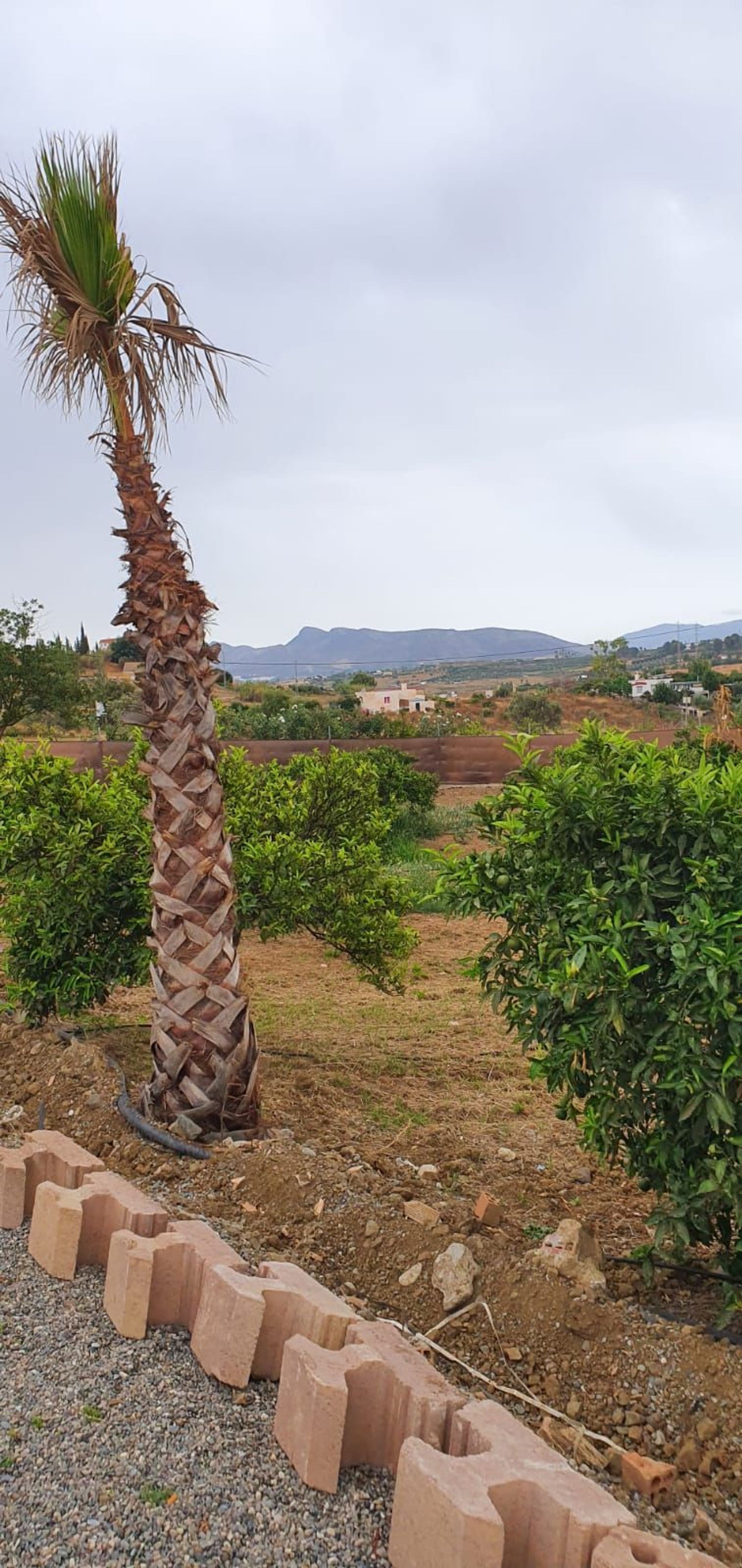 房子 在 , Andalucía 11133468