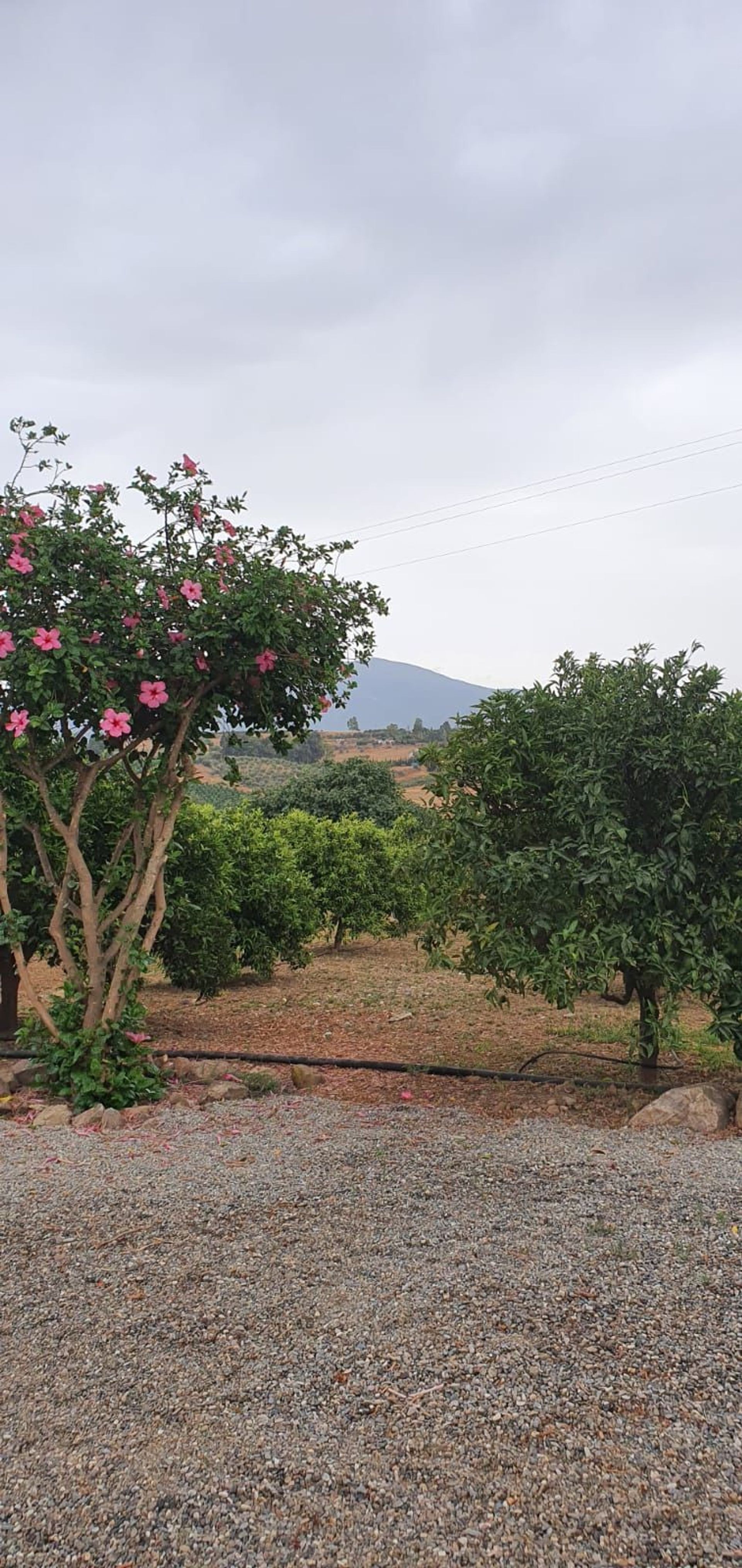 房子 在 , Andalucía 11133468