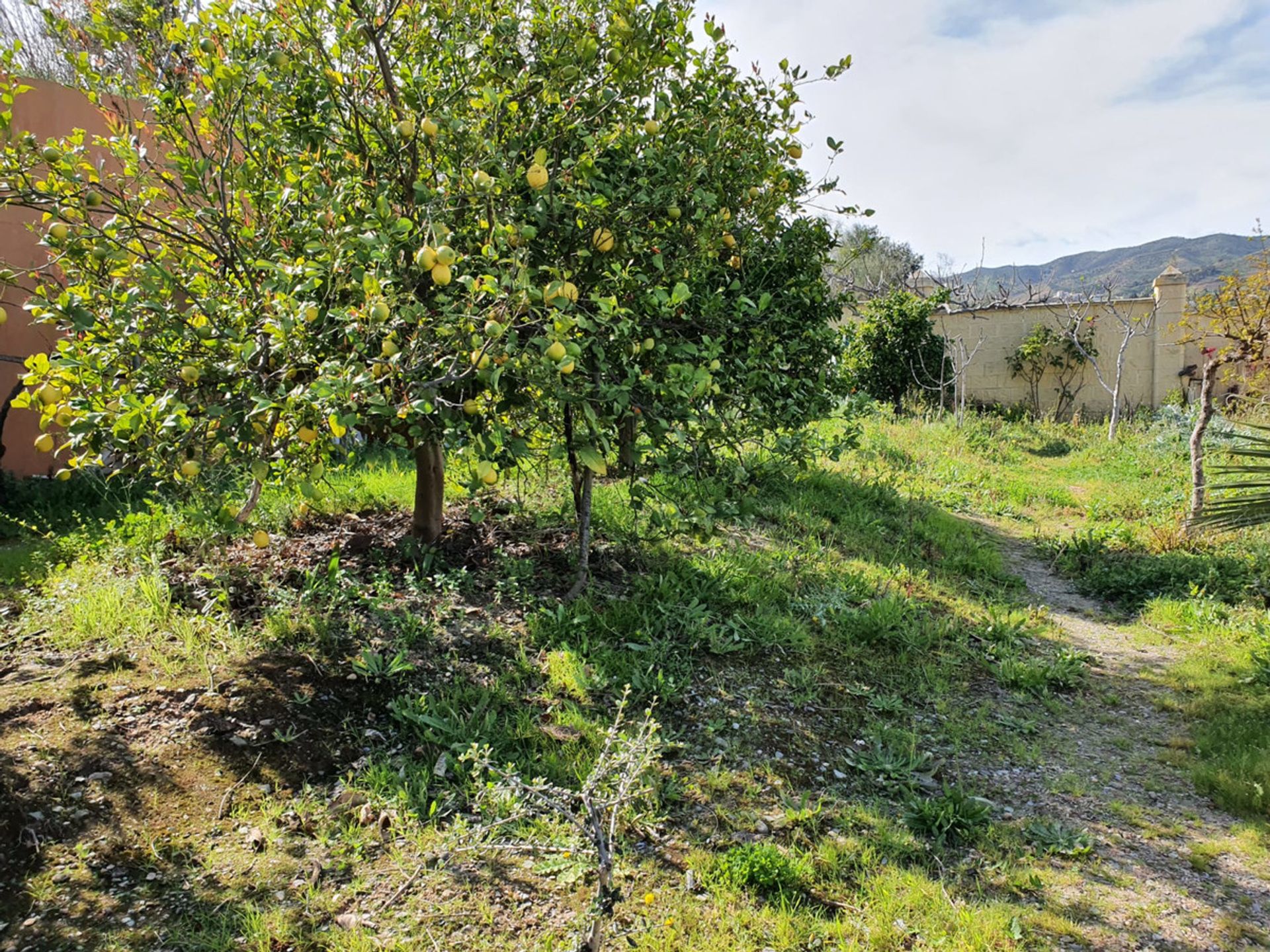 casa en Cártama, Andalusia 11134155