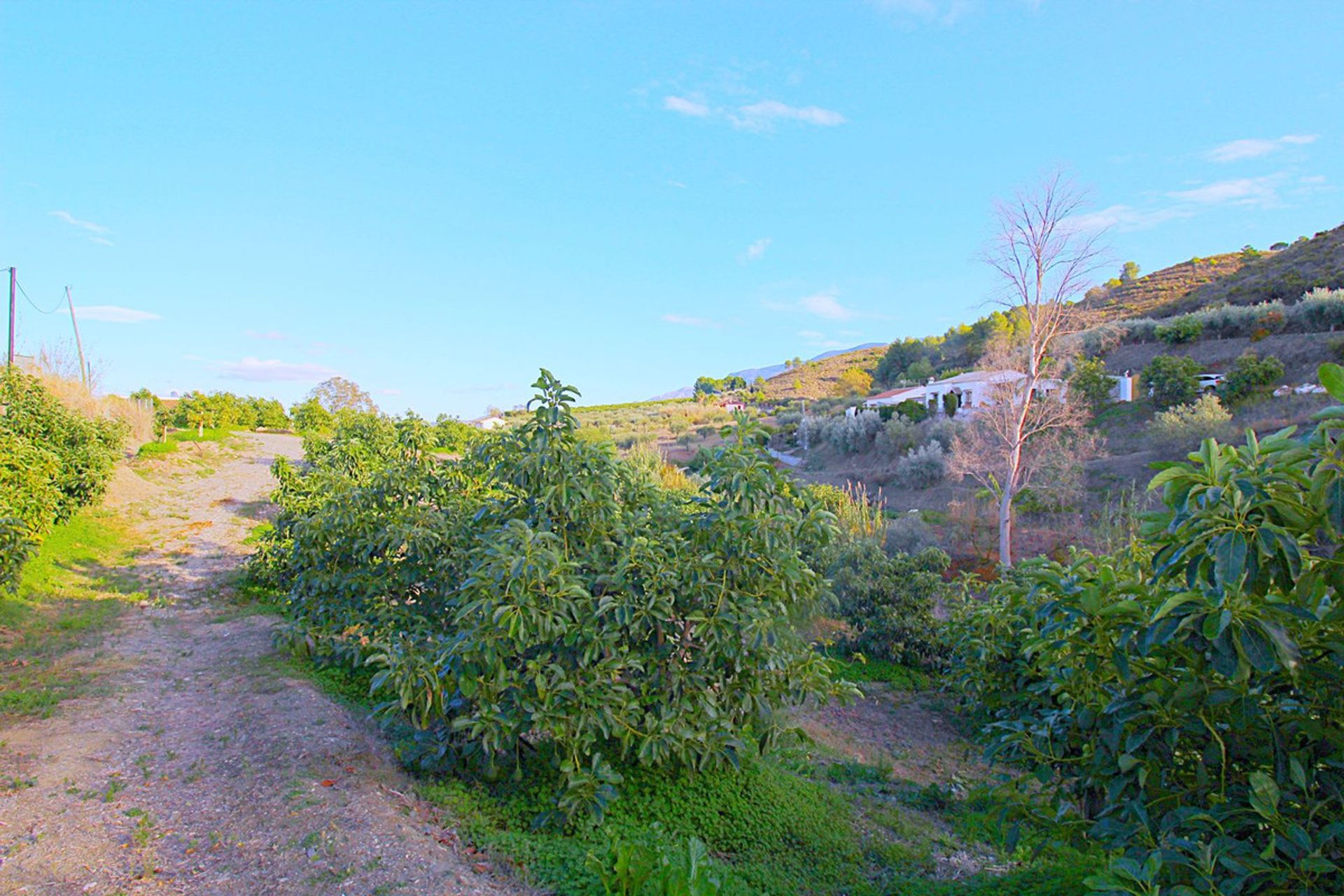 Huis in Coín, Andalusia 11134201