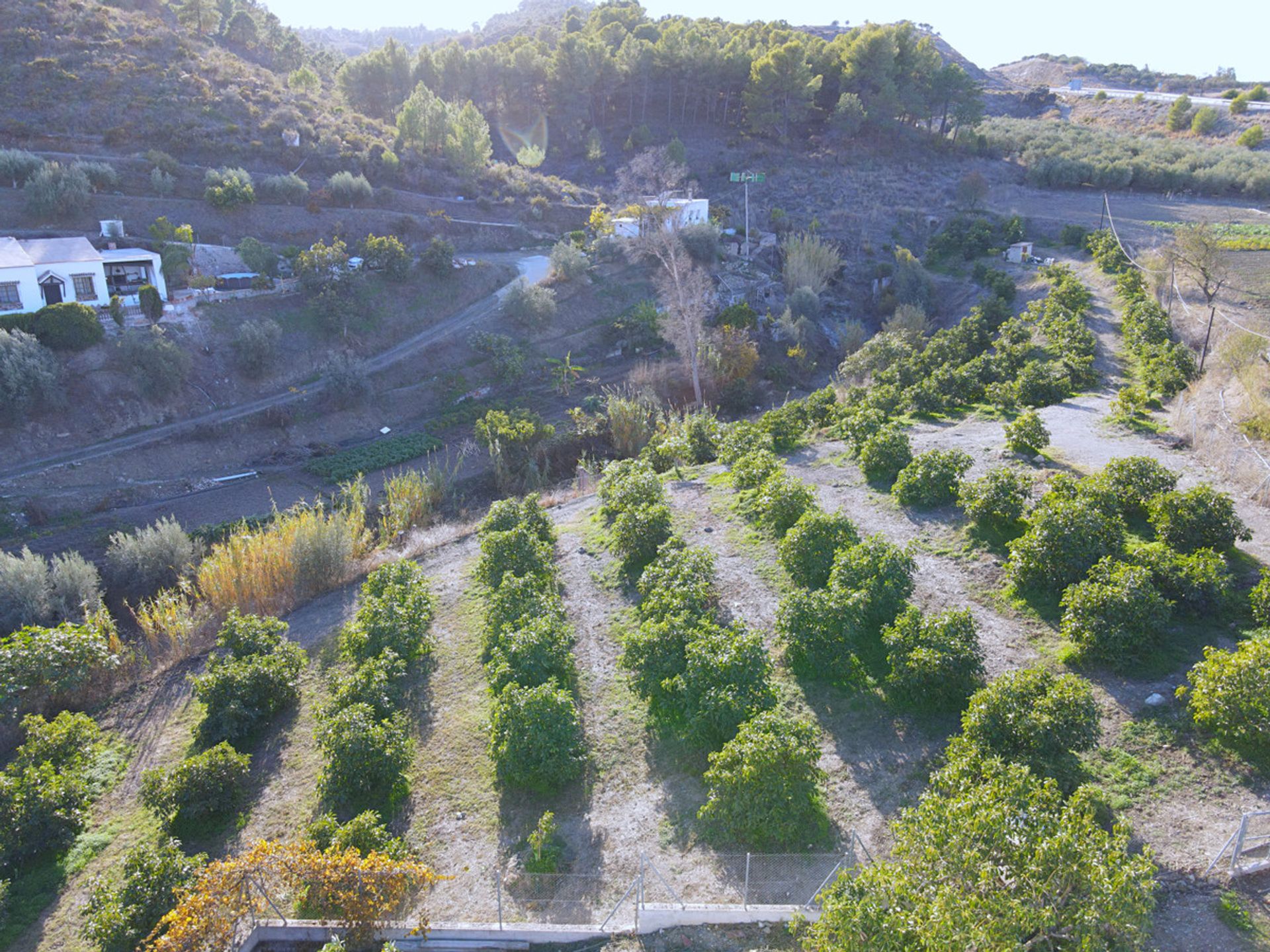 House in Coin, Andalusia 11134201