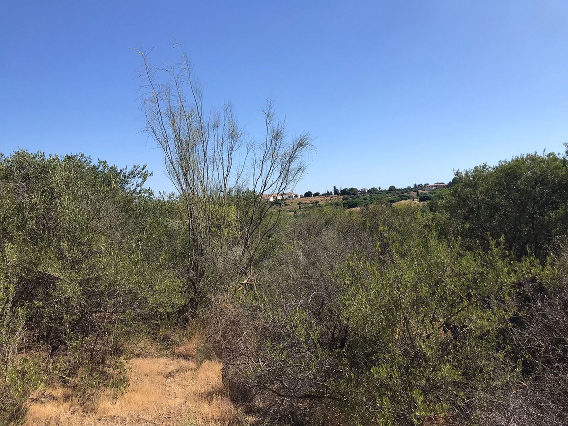 Land in Estepona, Andalucía 11134947